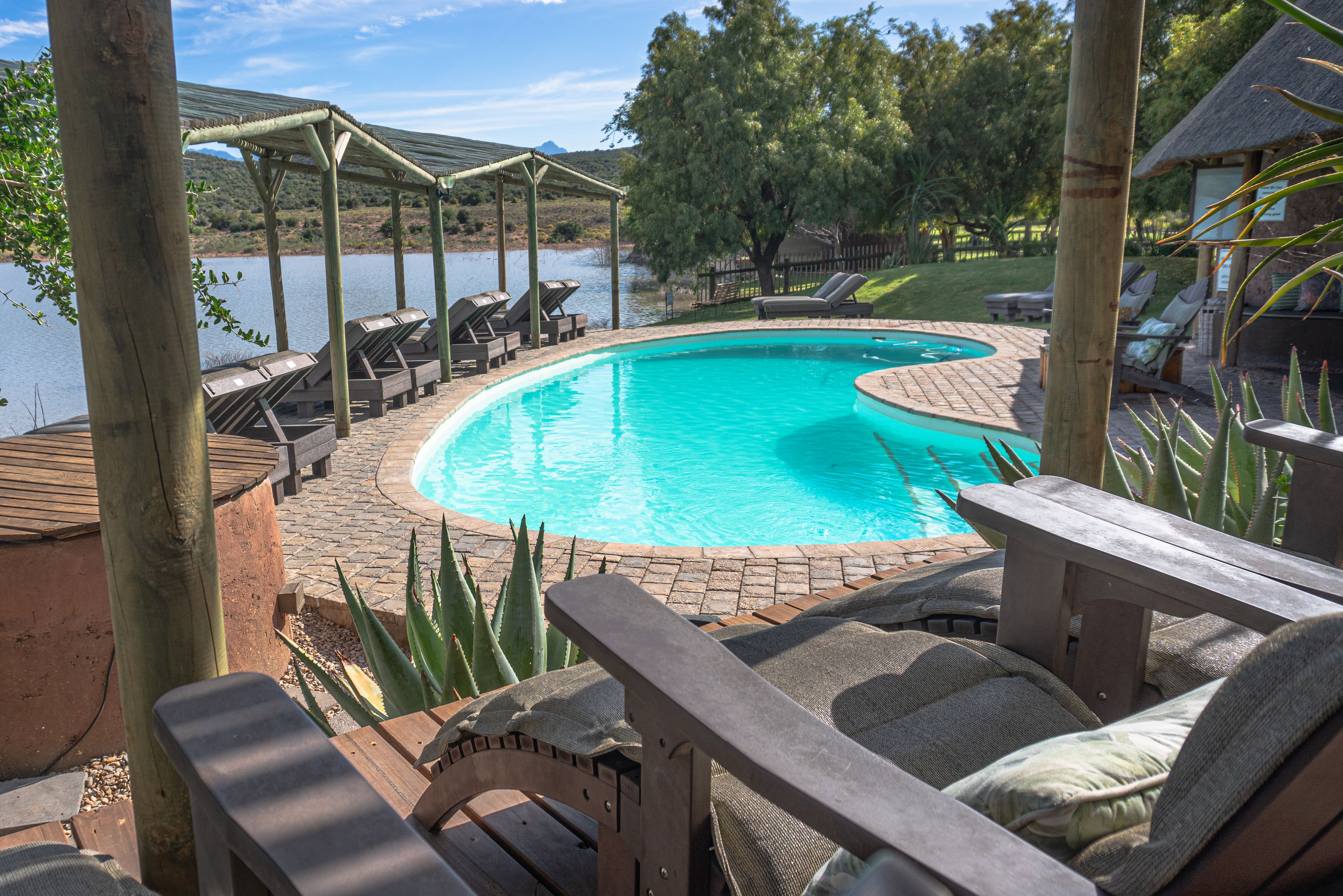 Zuid-Afrika Oudtshoorn Klein Karoo Buffelsdrift Game Lodge Zwembad