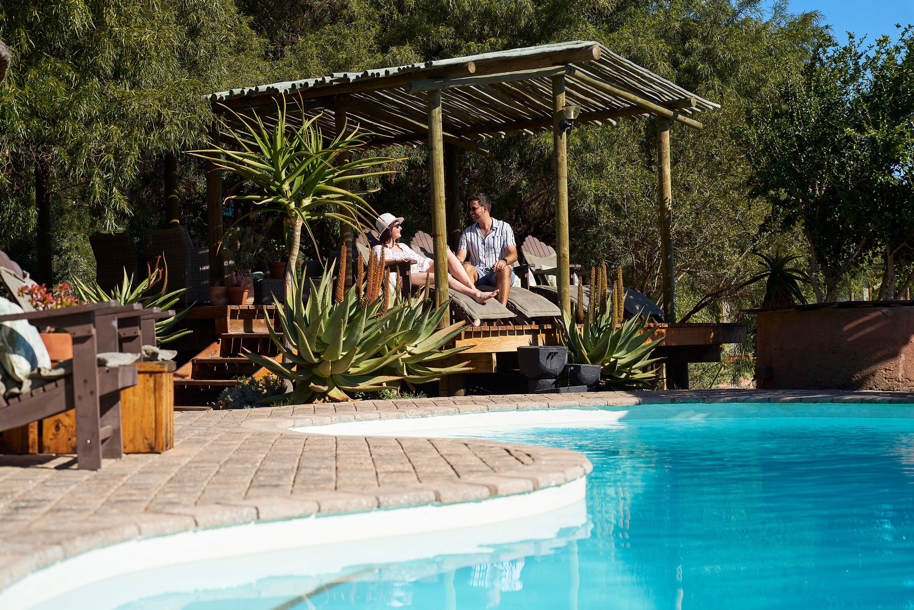 Zuid-Afrika Oudtshoorn Klein Karoo Buffelsdrift Game Lodge Zwembad