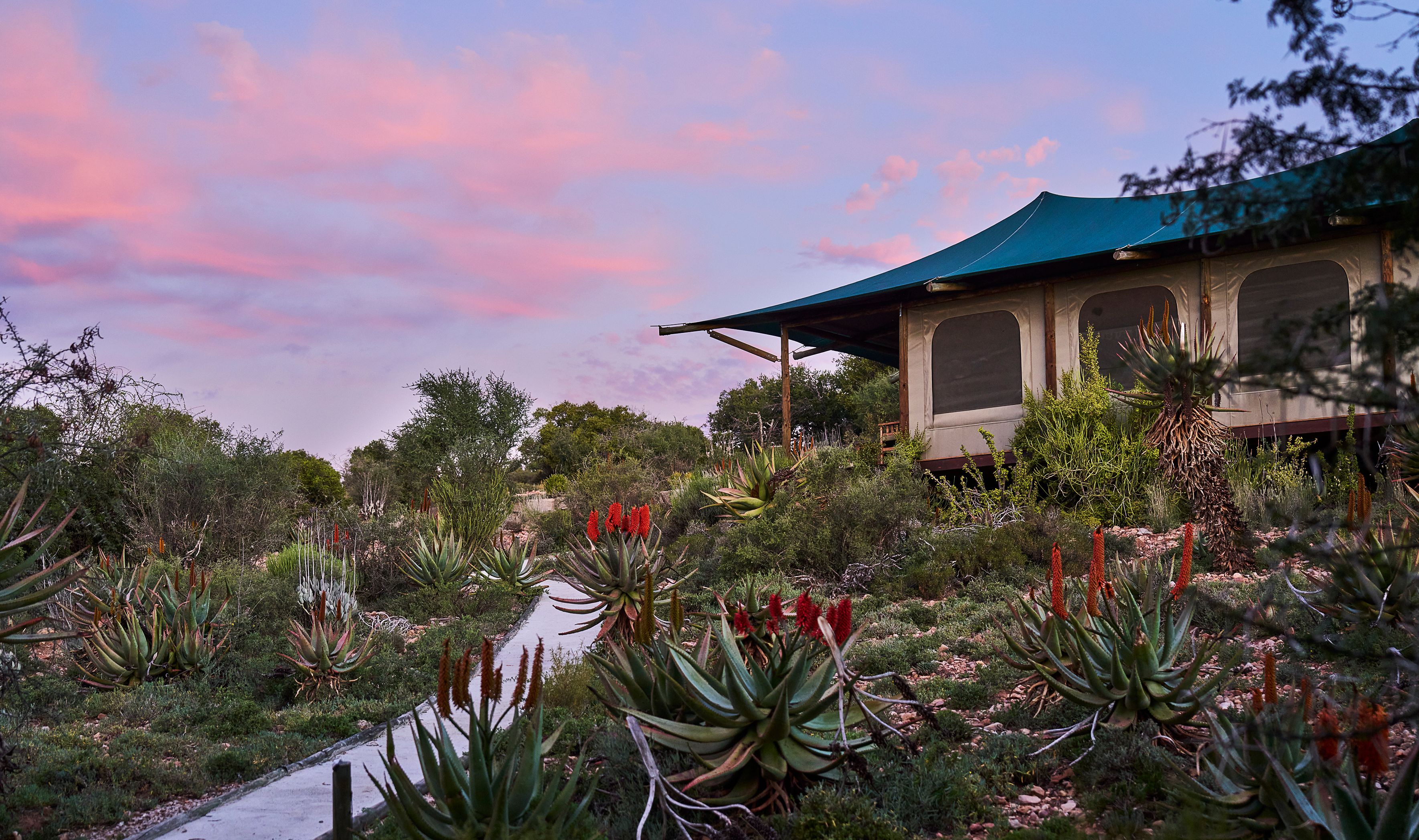 Zuid-Afrika Oudtshoorn Klein Karoo Buffelsdrift Game Lodge Luxe Horizon Tent