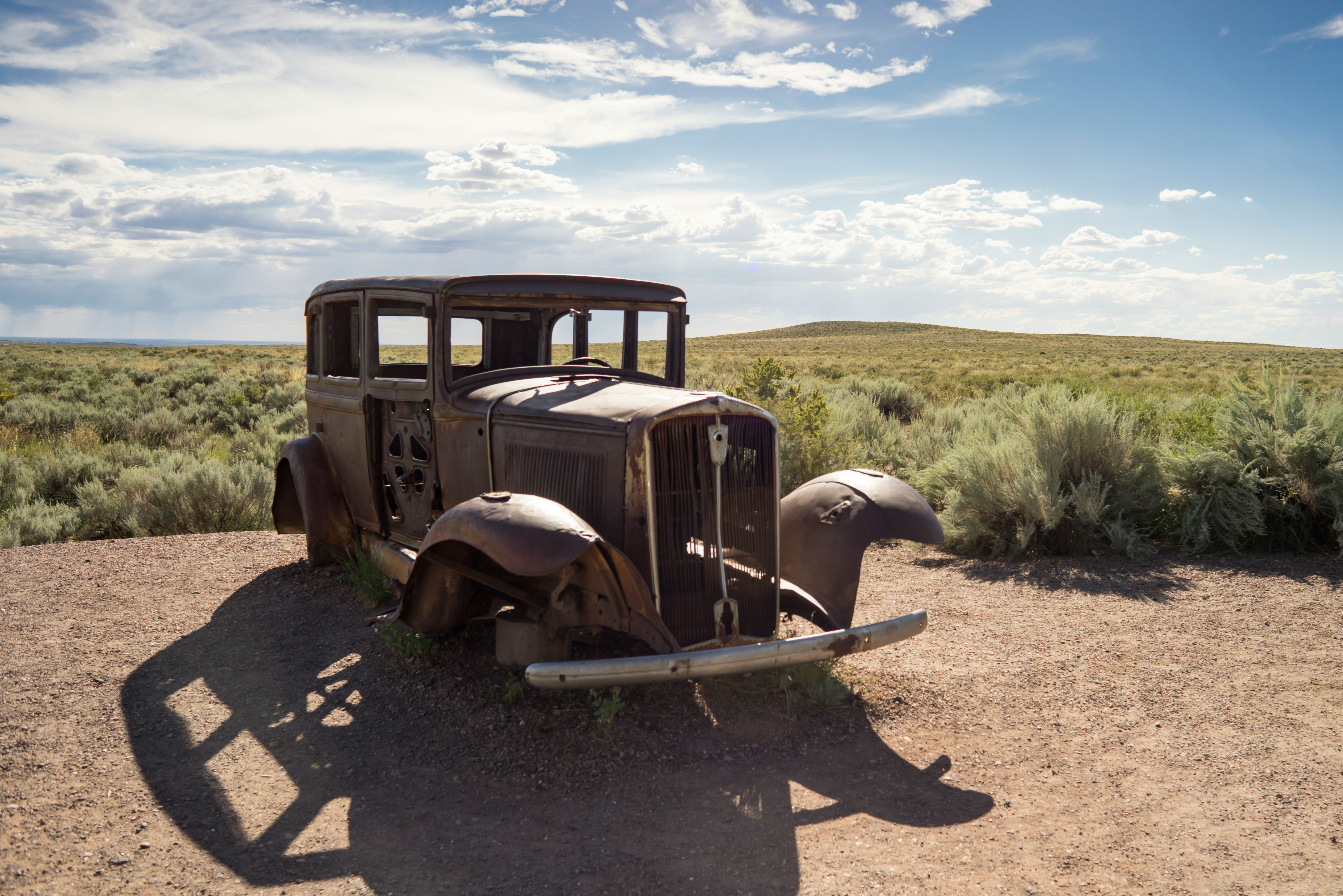 Amerika Arizona Patrified Forest National Park