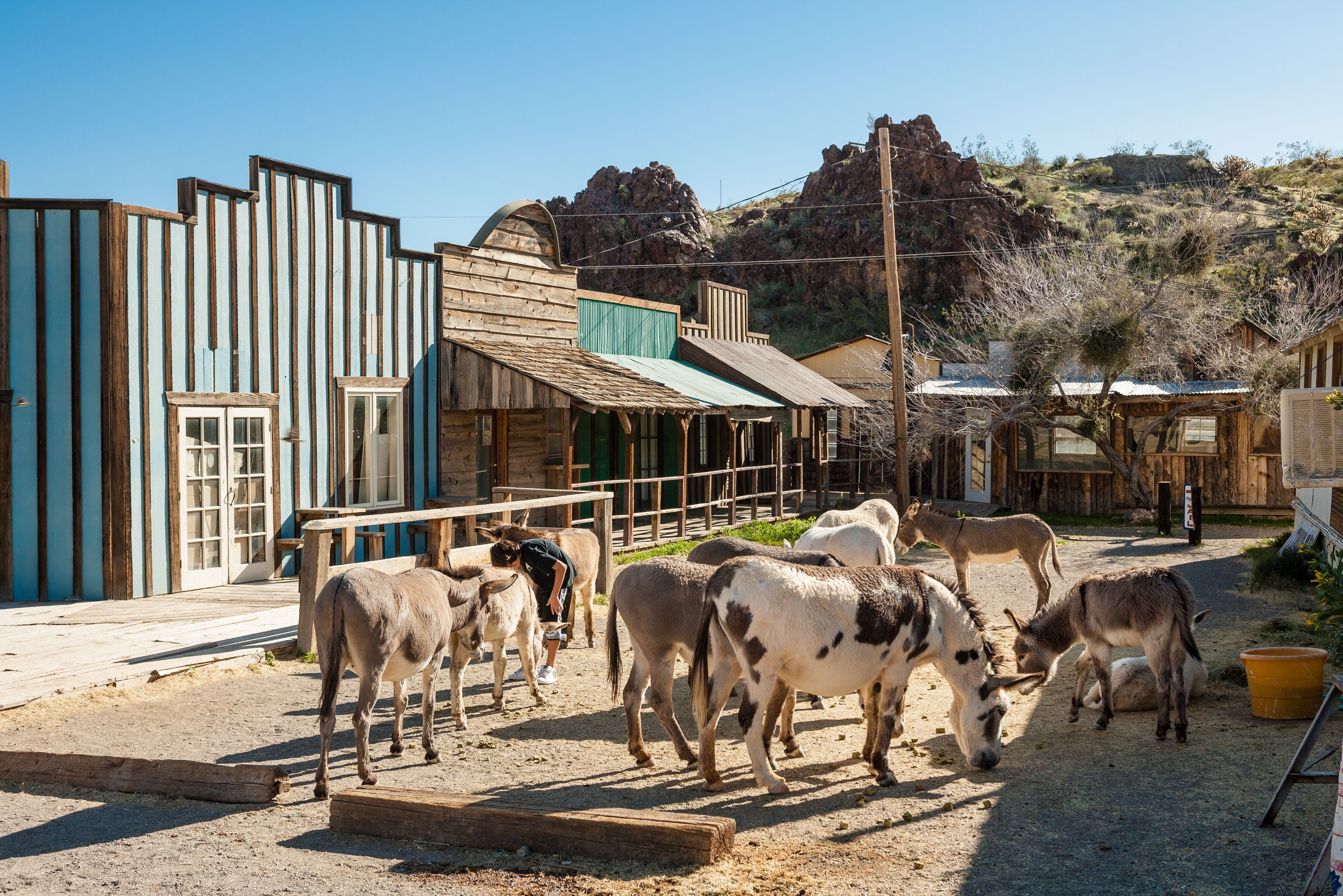 Amerika Arizona Route 66 Oatman