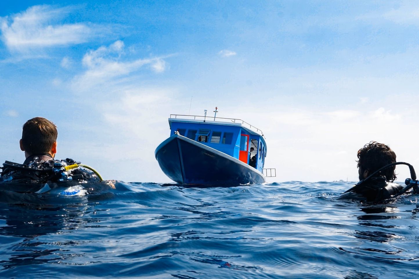 Malediven South Male Atol Fihalhohi Maldives Duiken