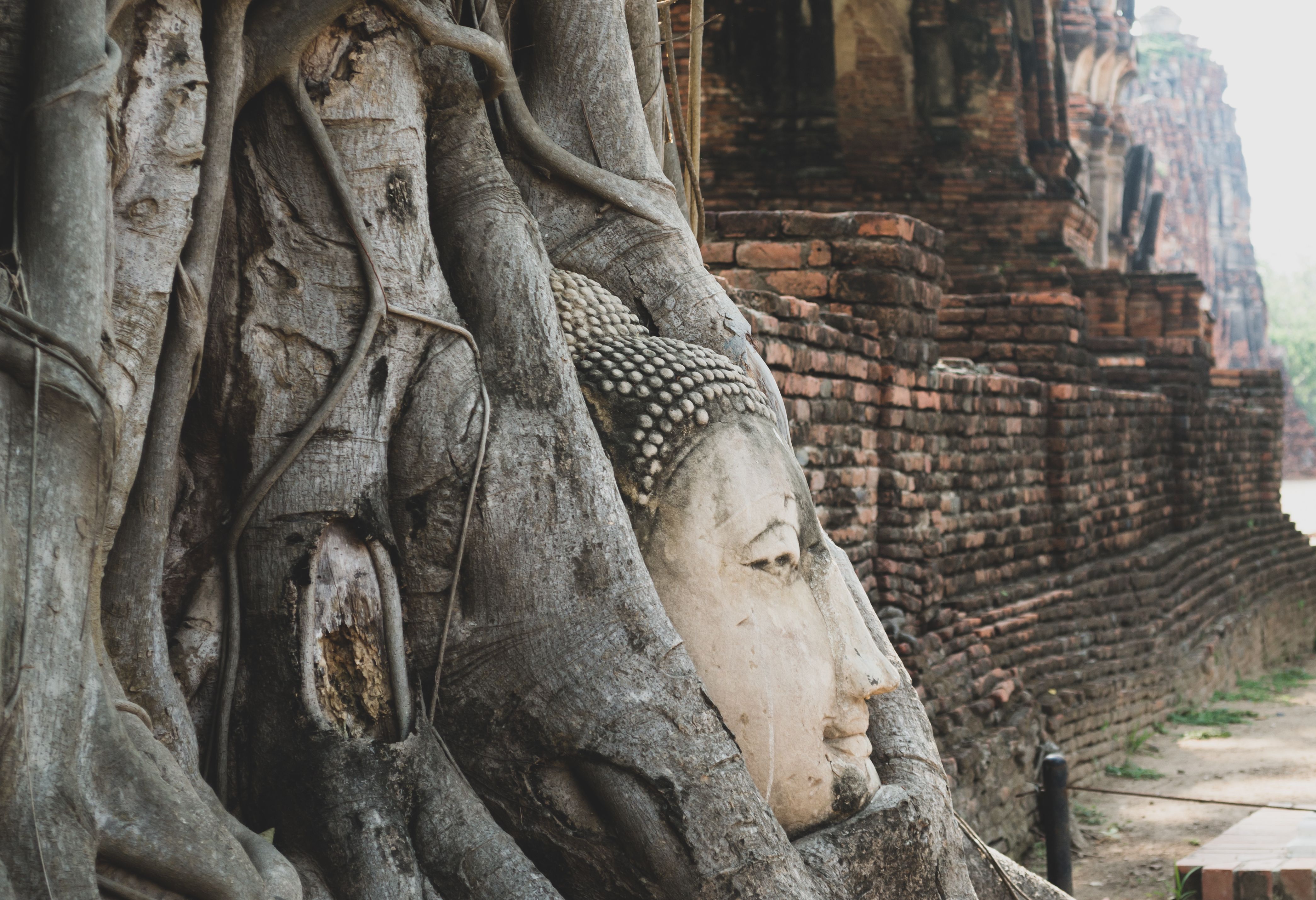 Wat Mahathat Ayutthaya
