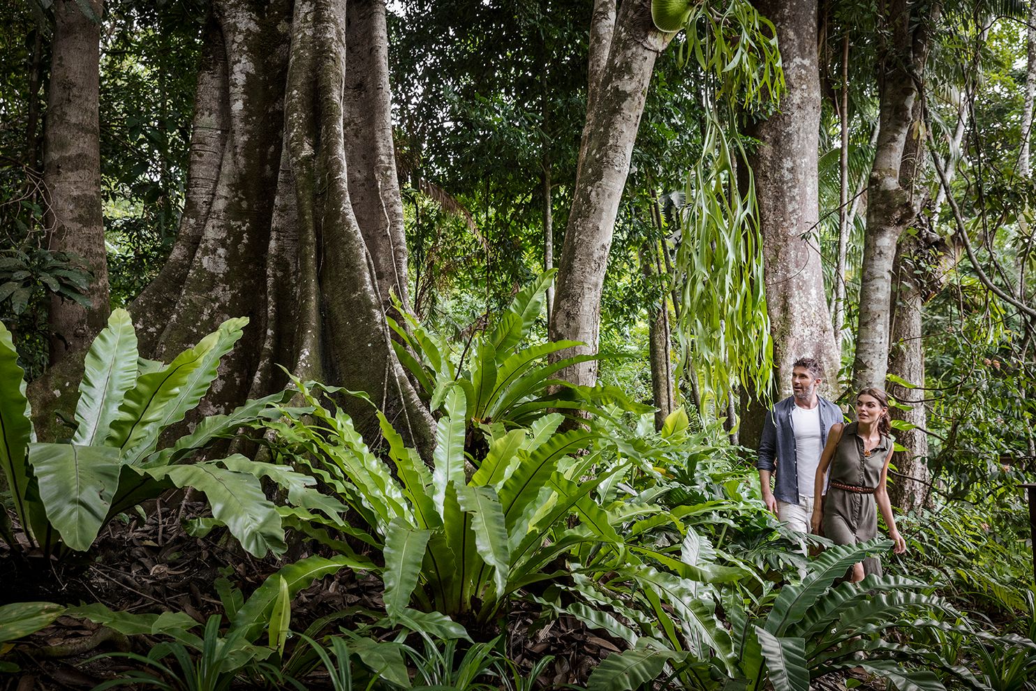 Maleisie Langkawi The Datai Omgeving