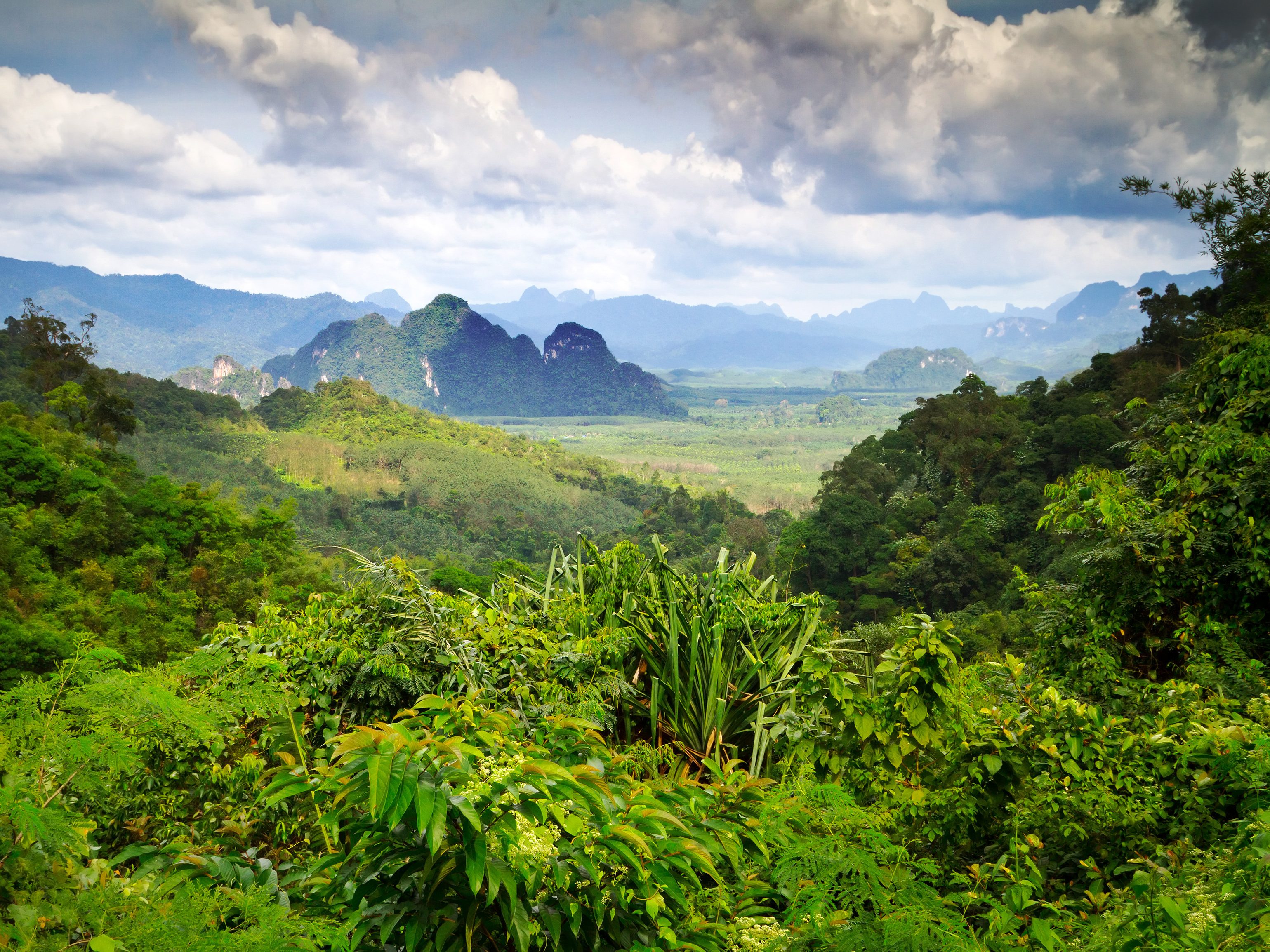 thailand-khao-sok-national-park