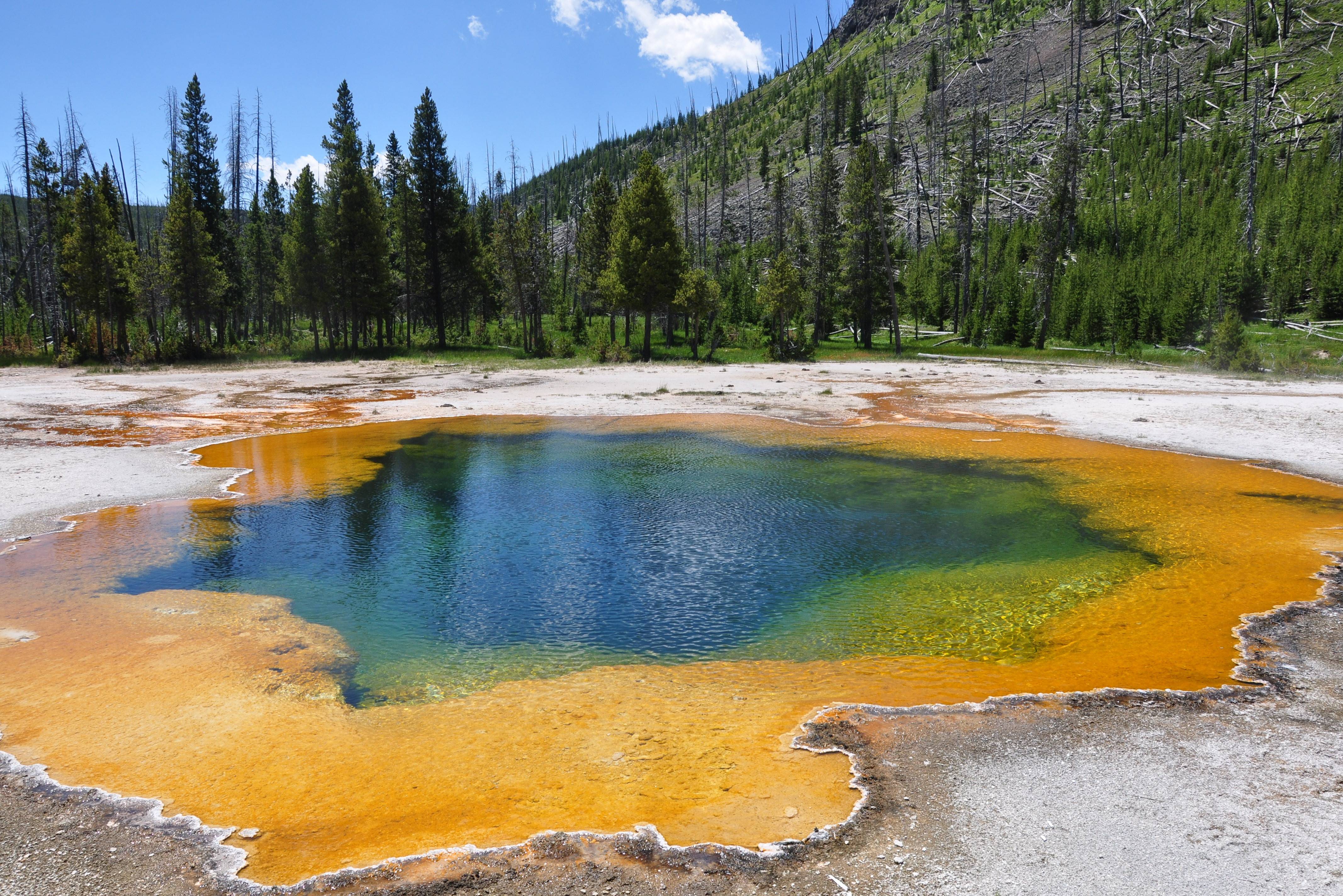 Yellowstone national park Amerika
