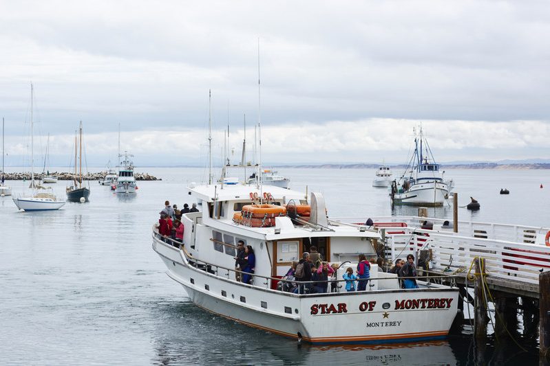 Monterey walvistocht in Amerika