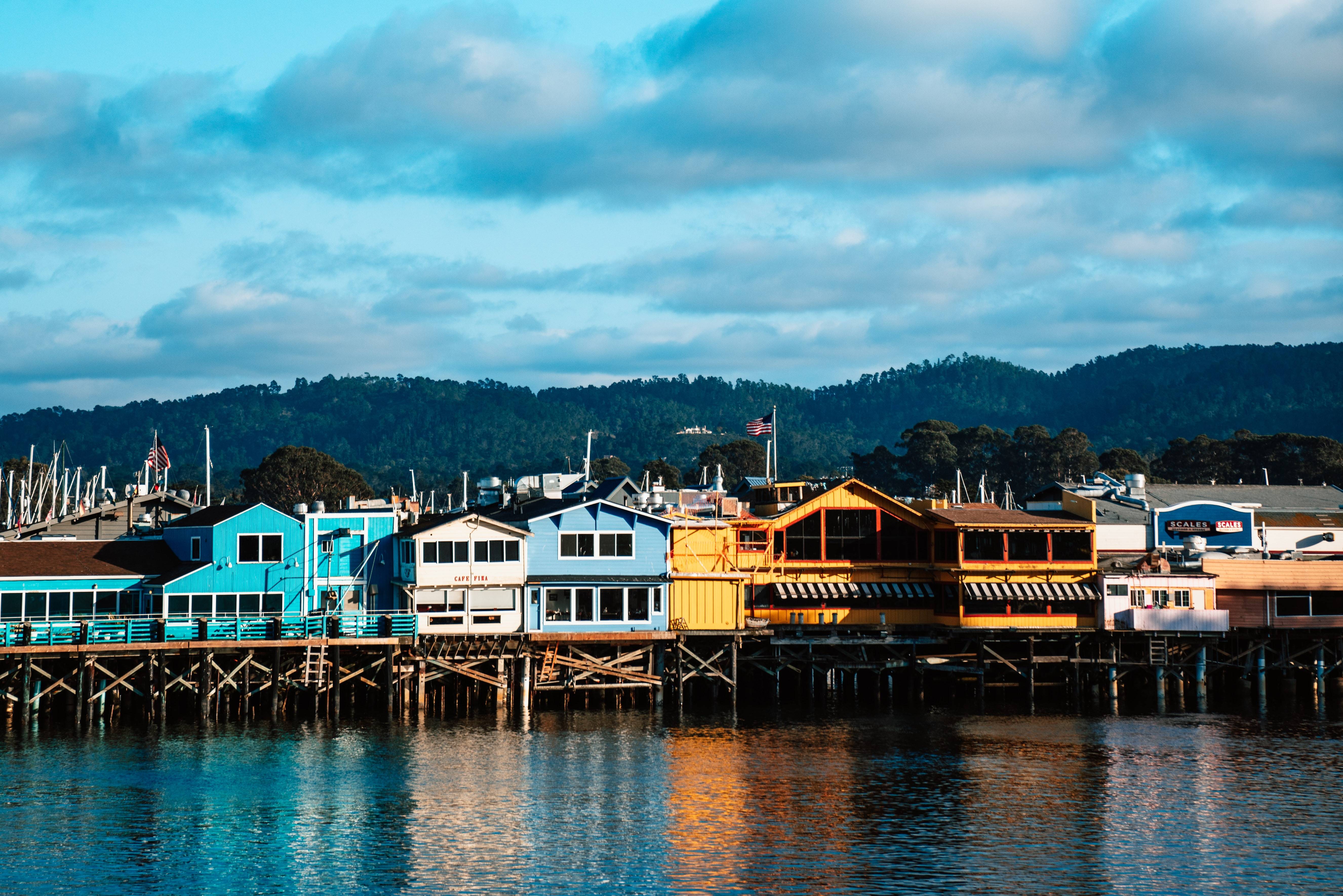 Walviscruise bij Monterey, Californië Amerika