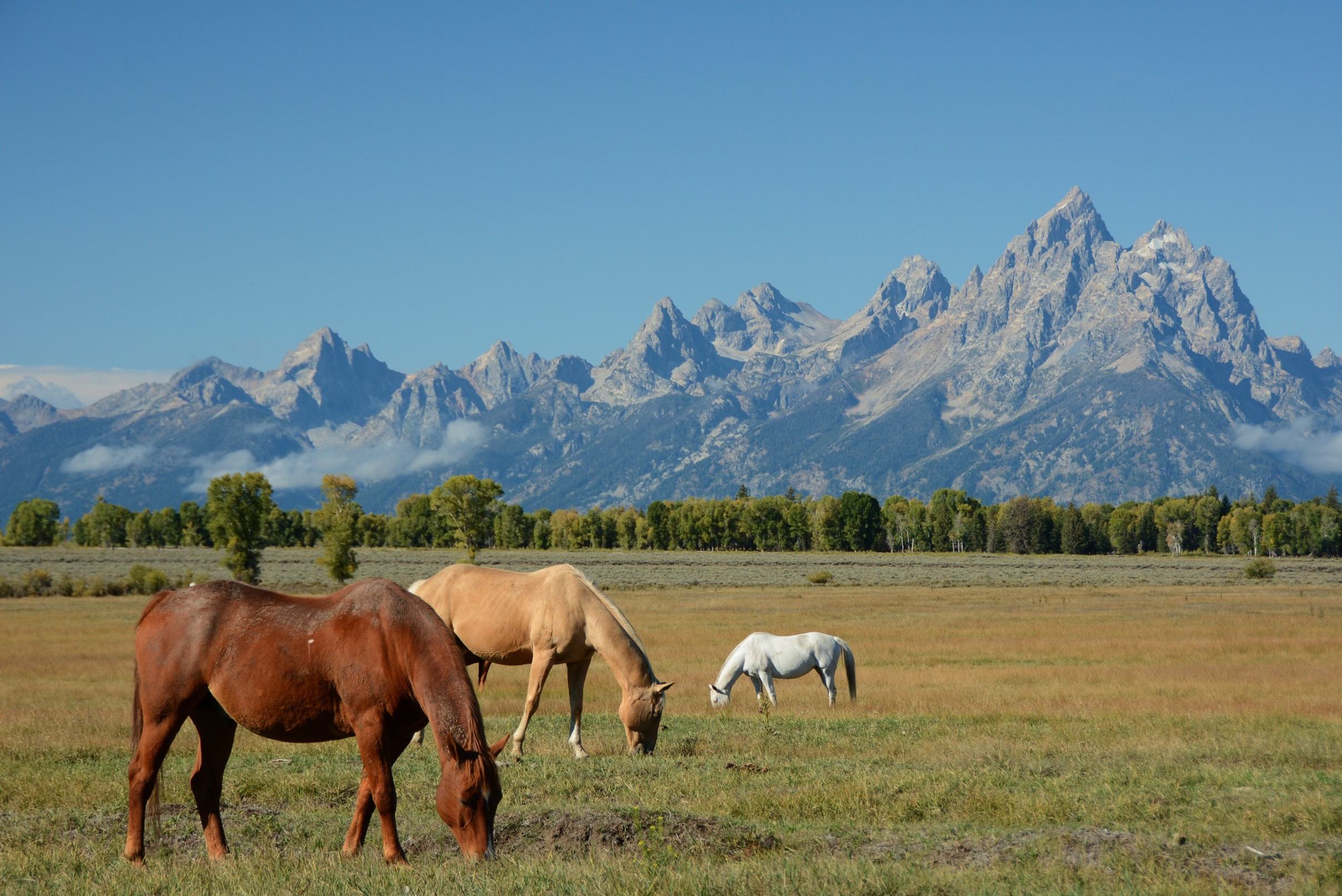 Grand Teton in Amerika
