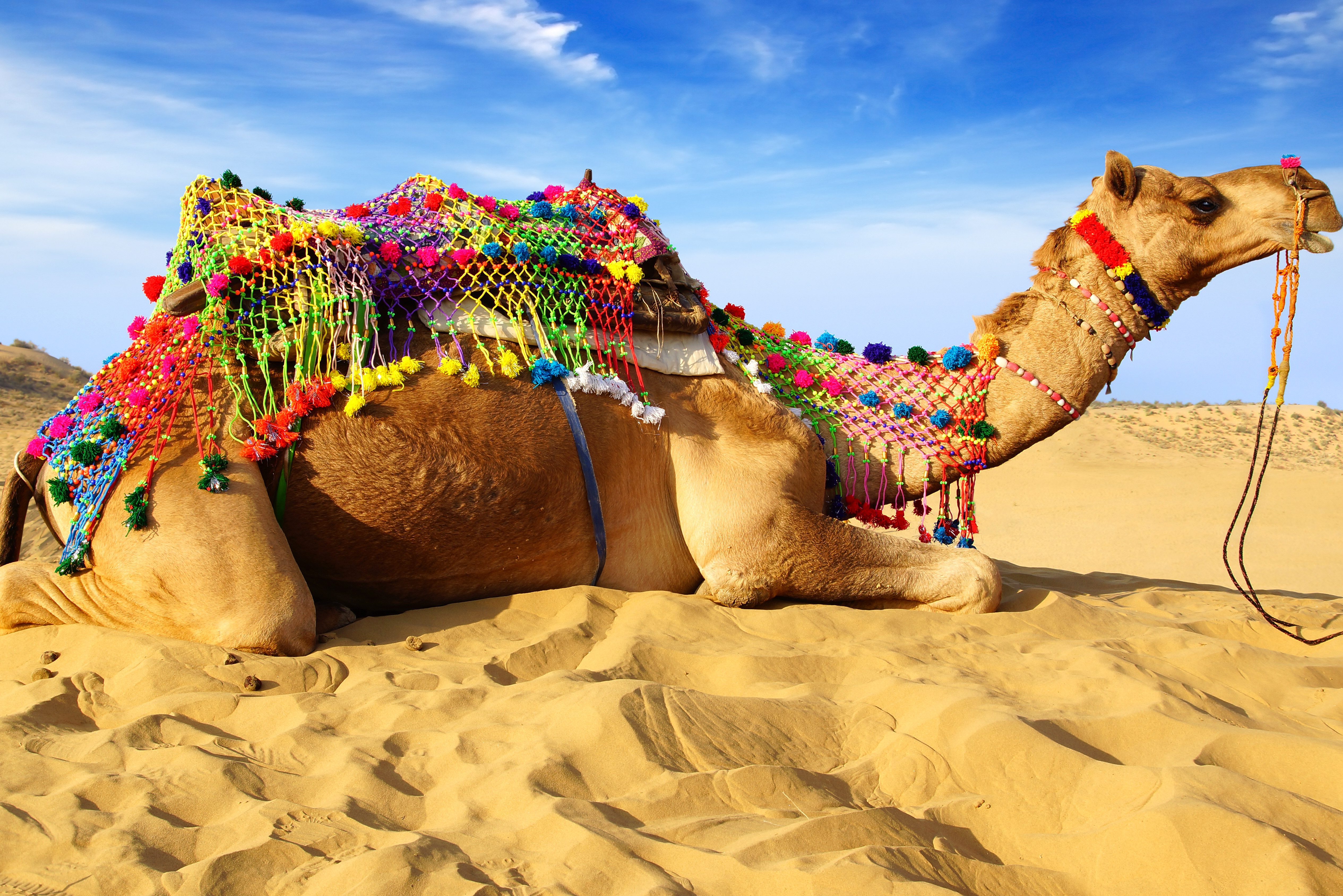 Thar woestijn in India