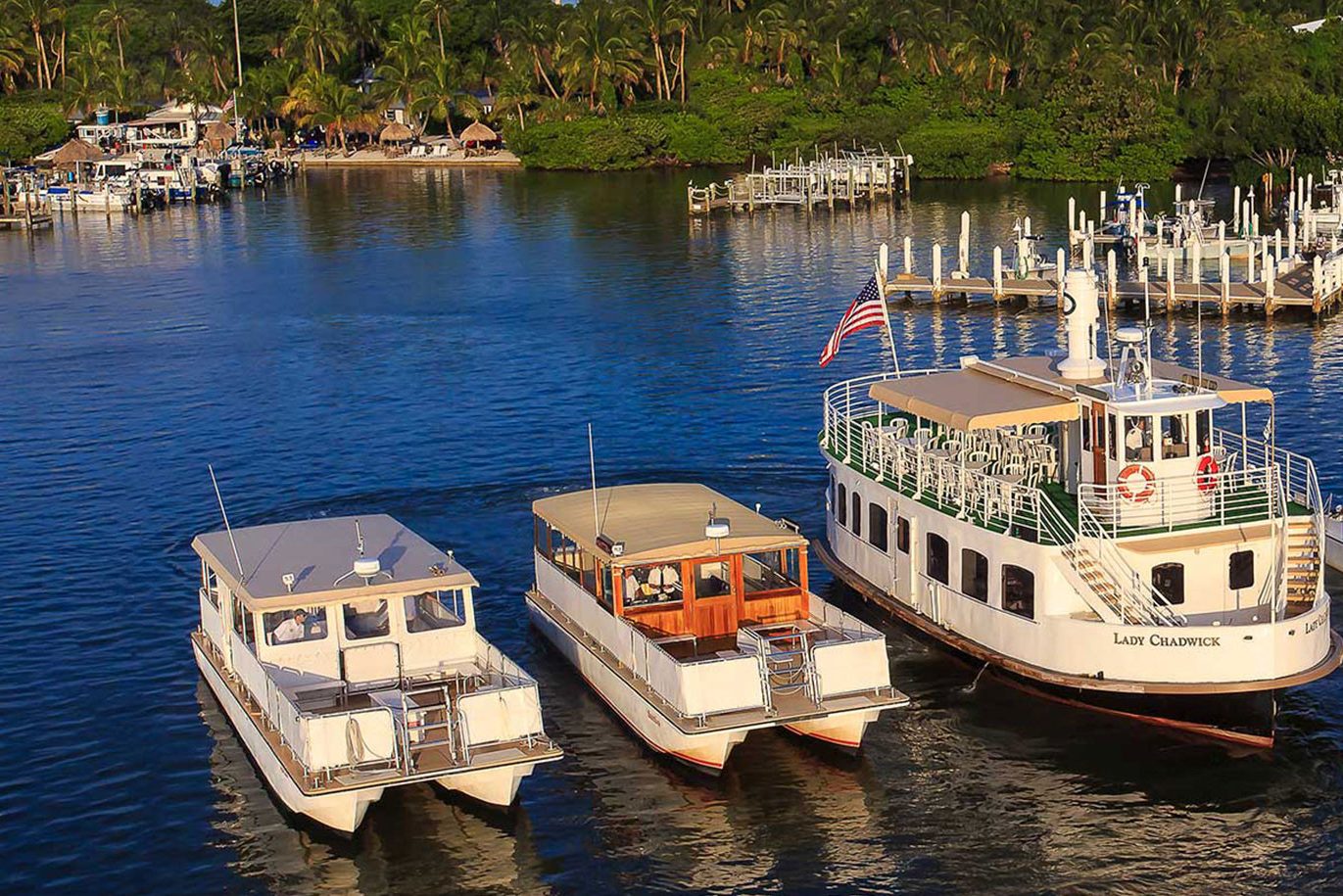 Captiva Island Florida, dolfijnen cruise