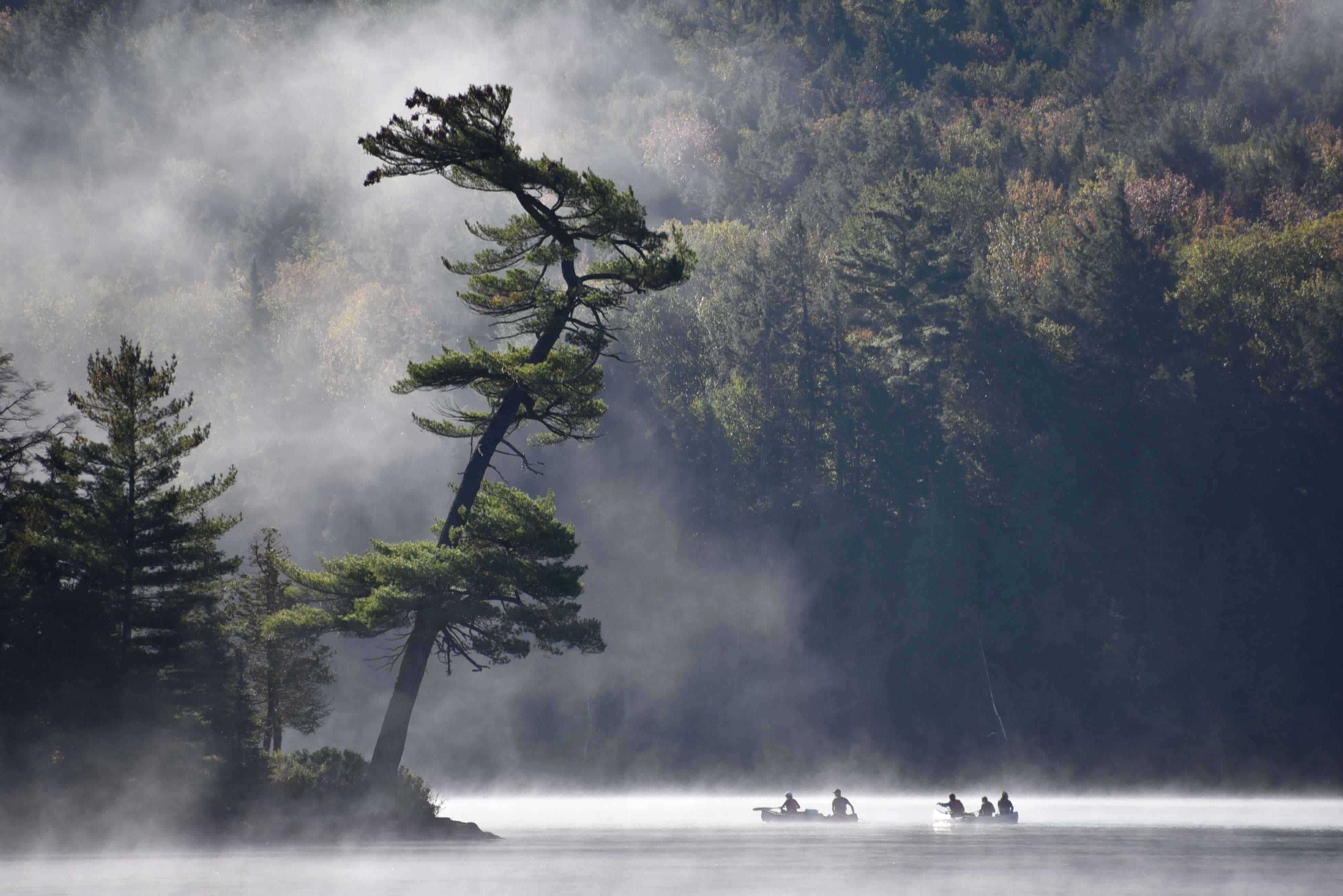 canada-algonquin-provincial-park-kanoen-in-de-mist