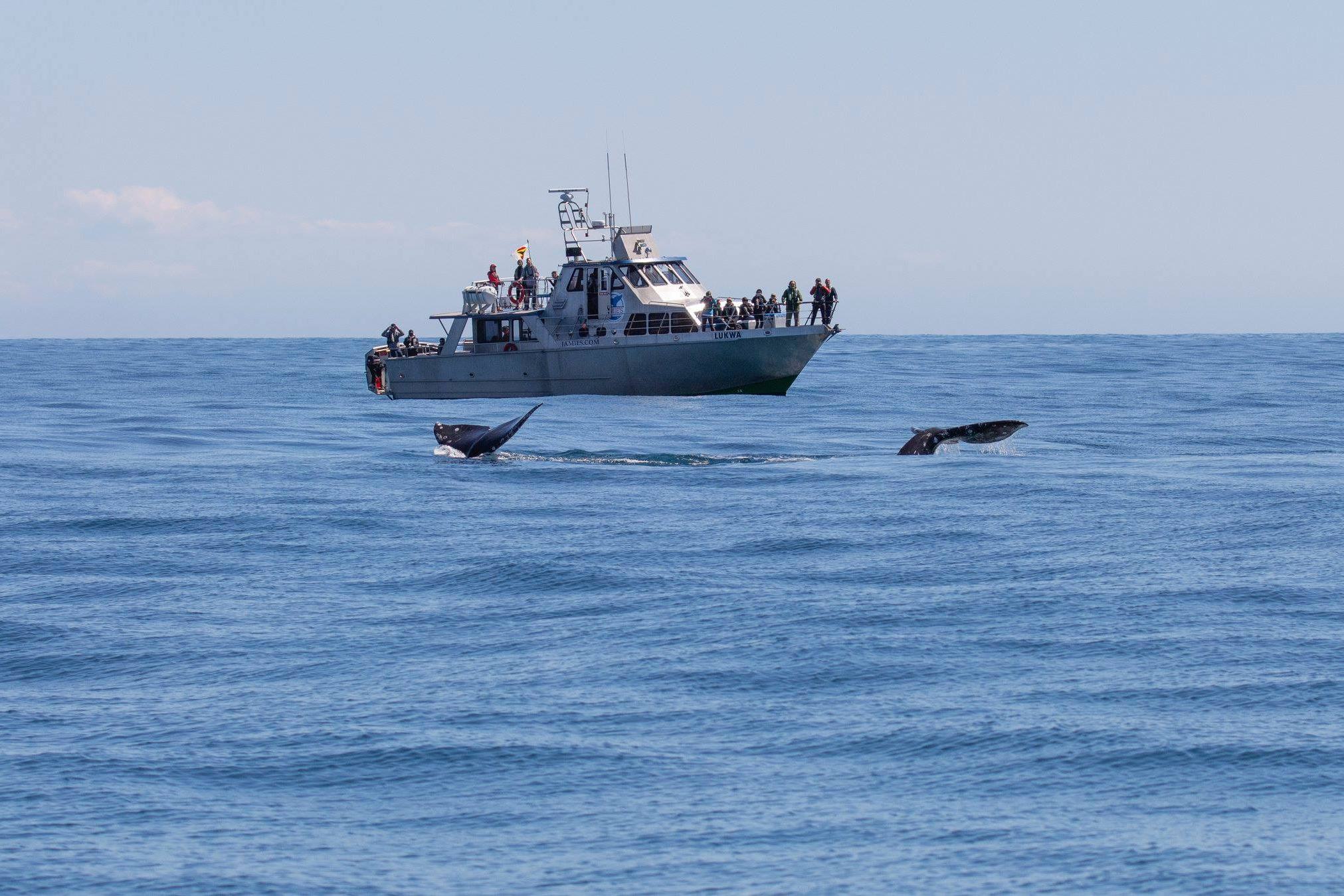 Canada-Vancouver-Island-Tofino-Jamies-Whaling-Station-