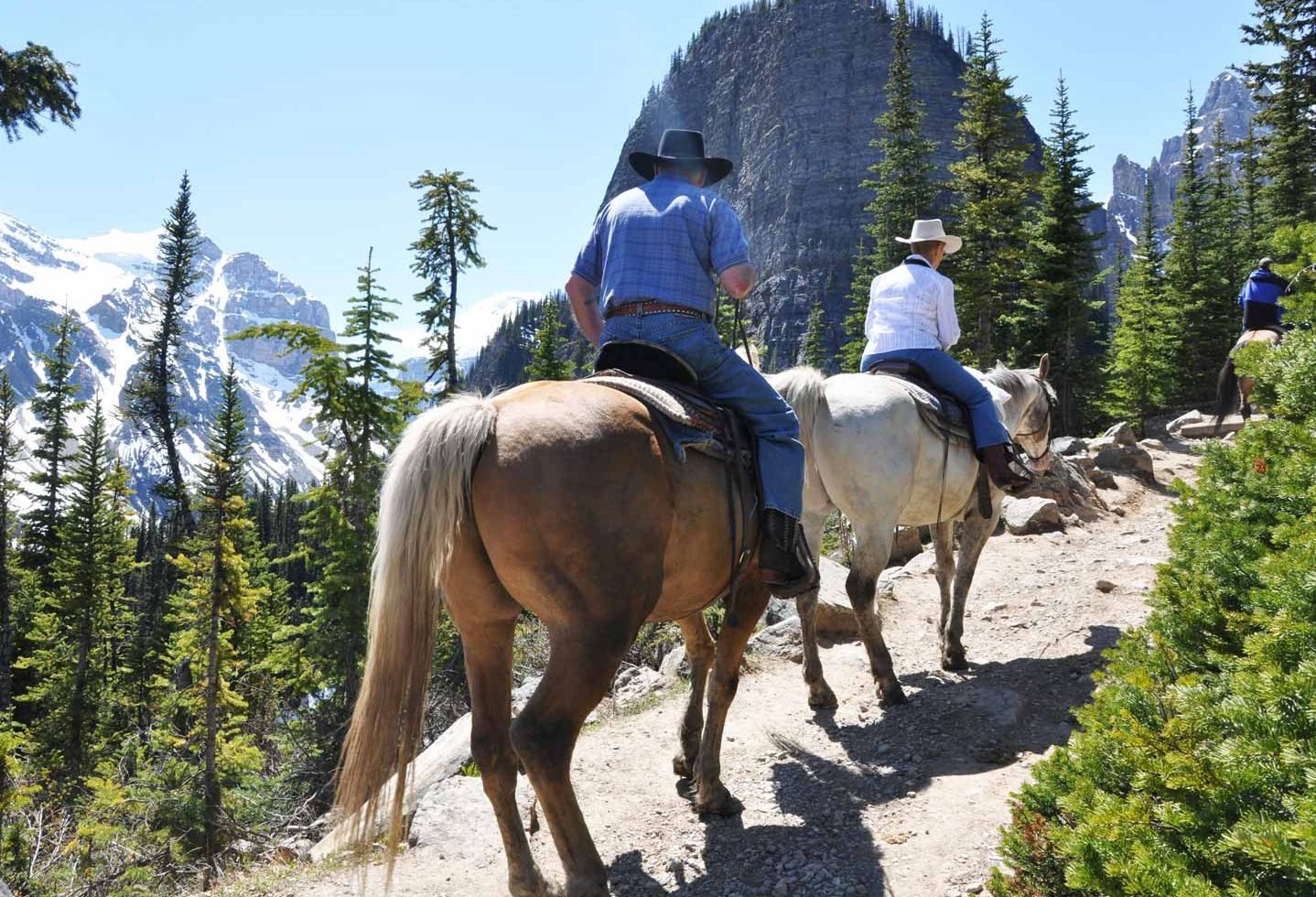 Canada Rocky Mountains paardrijden in de natuur