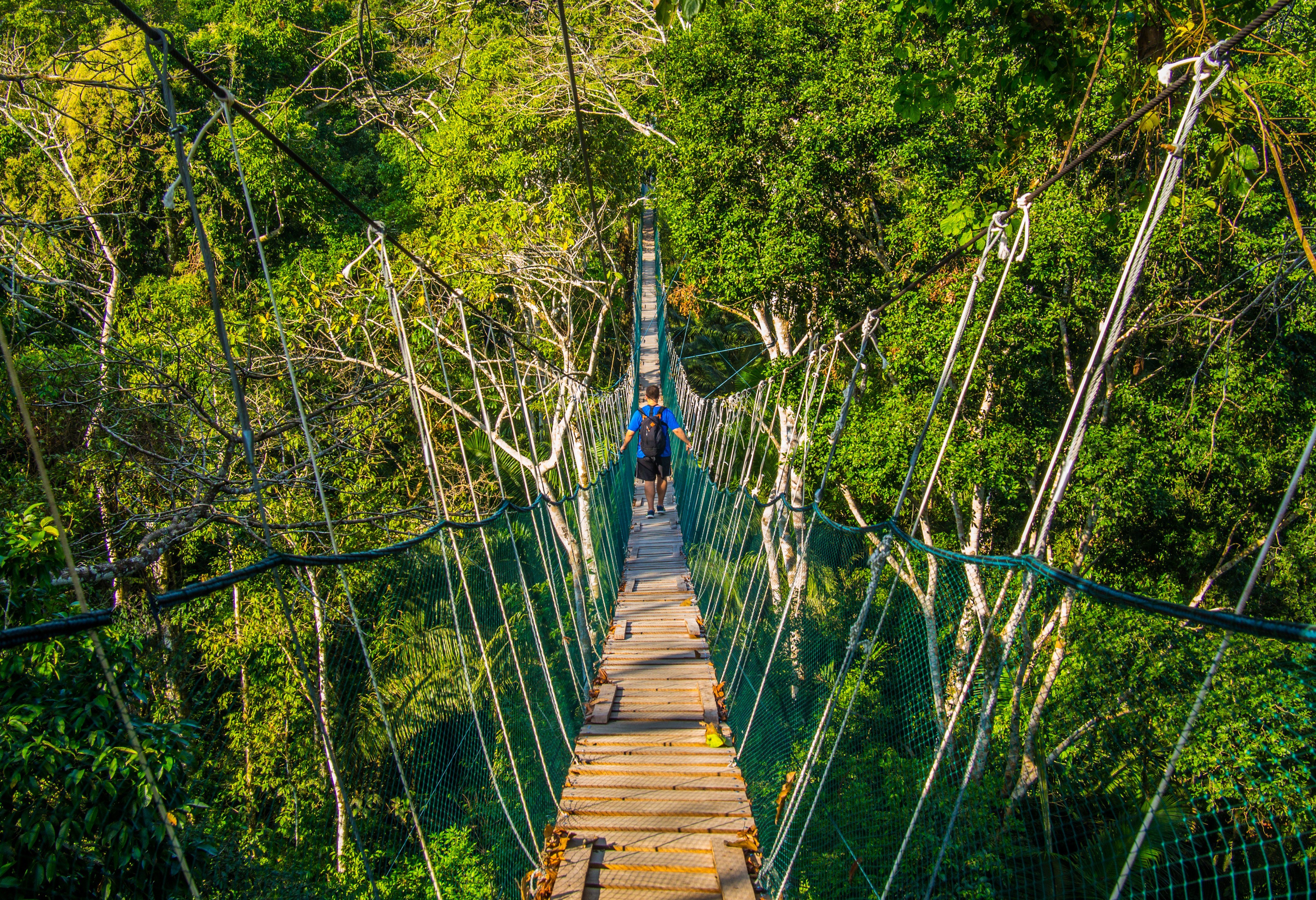 Hangbrug in het Amazone regenwoud in Peru