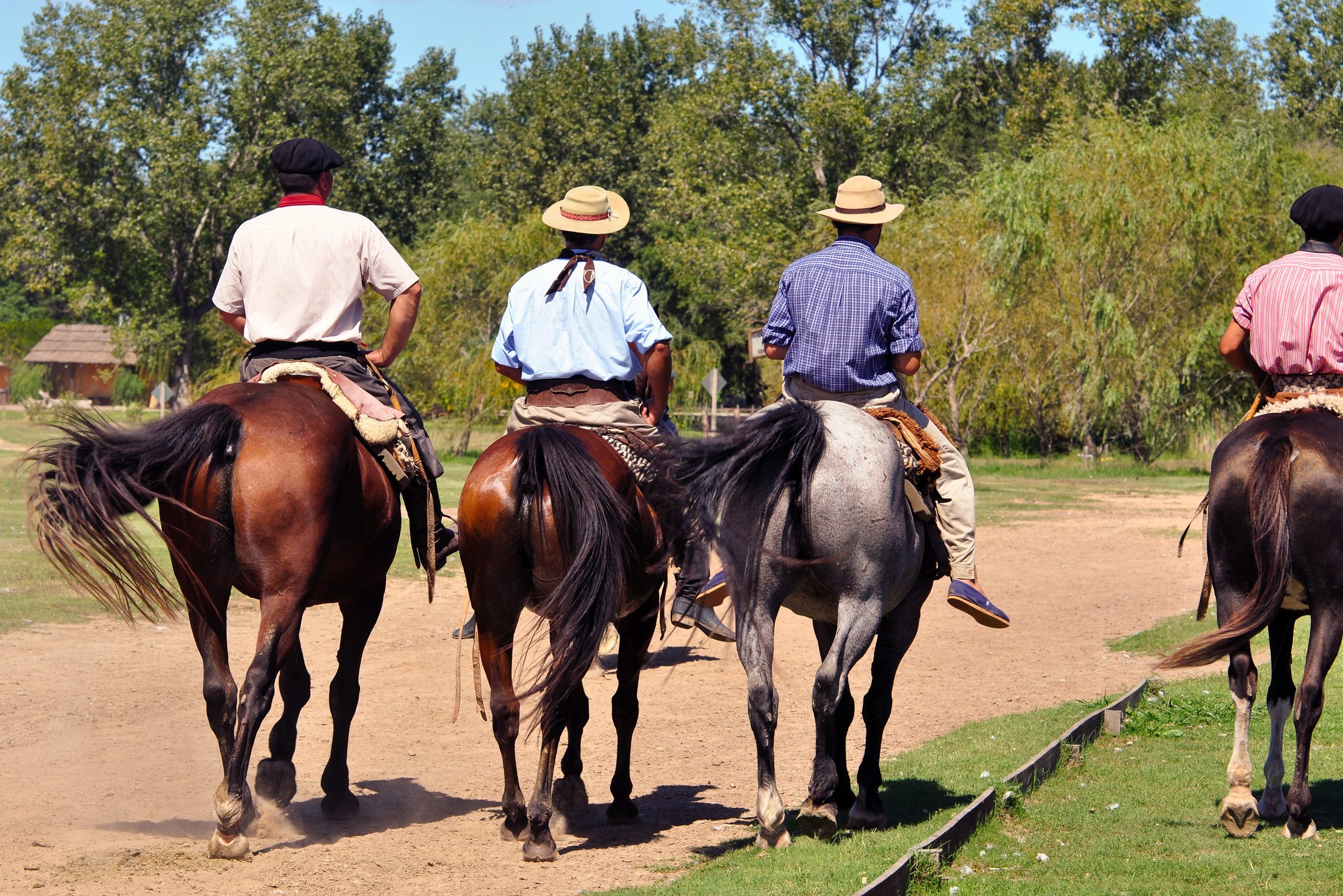 argentinie-gauchos-cowboys-paarden