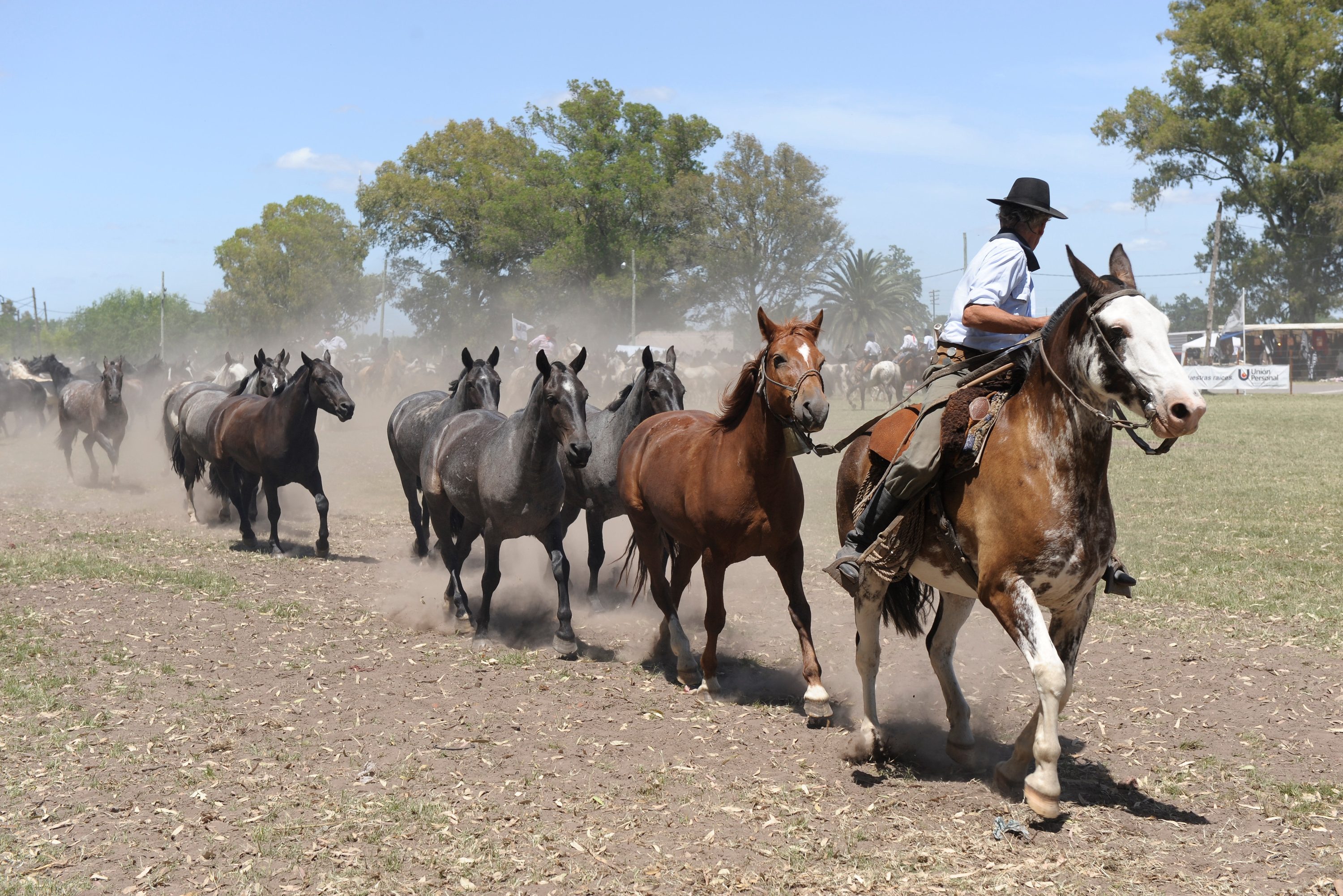 argentinie-buenos-aires-gaucho-rijdt-paard