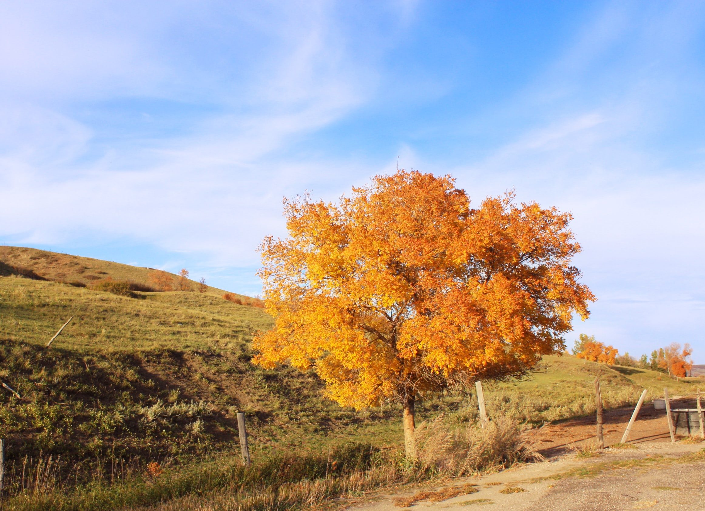 Glooiende heuvels van Saskatchewan in Canada