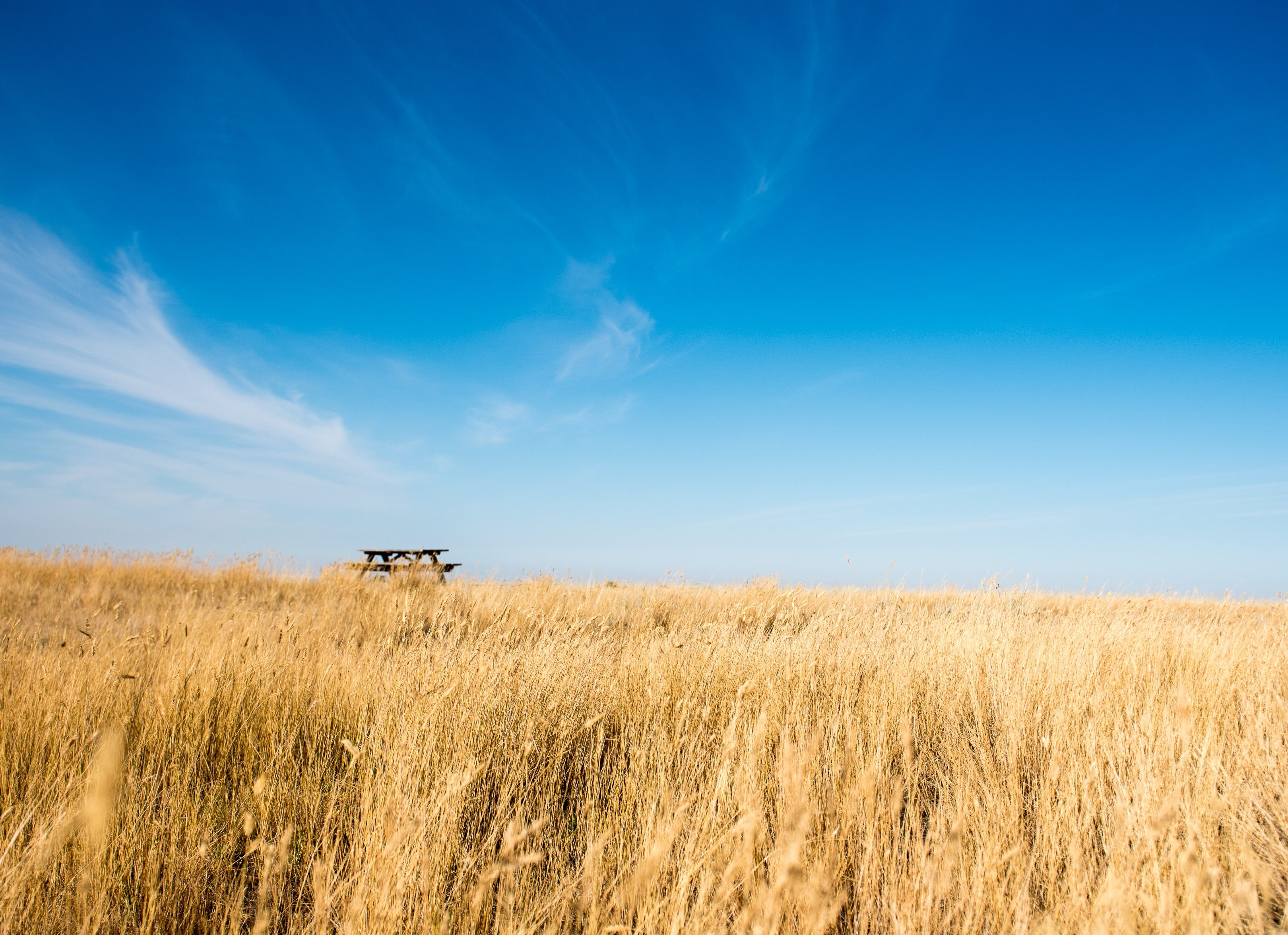 Picknicktafel omringd door tarwegras in Saskatchewan in Canada