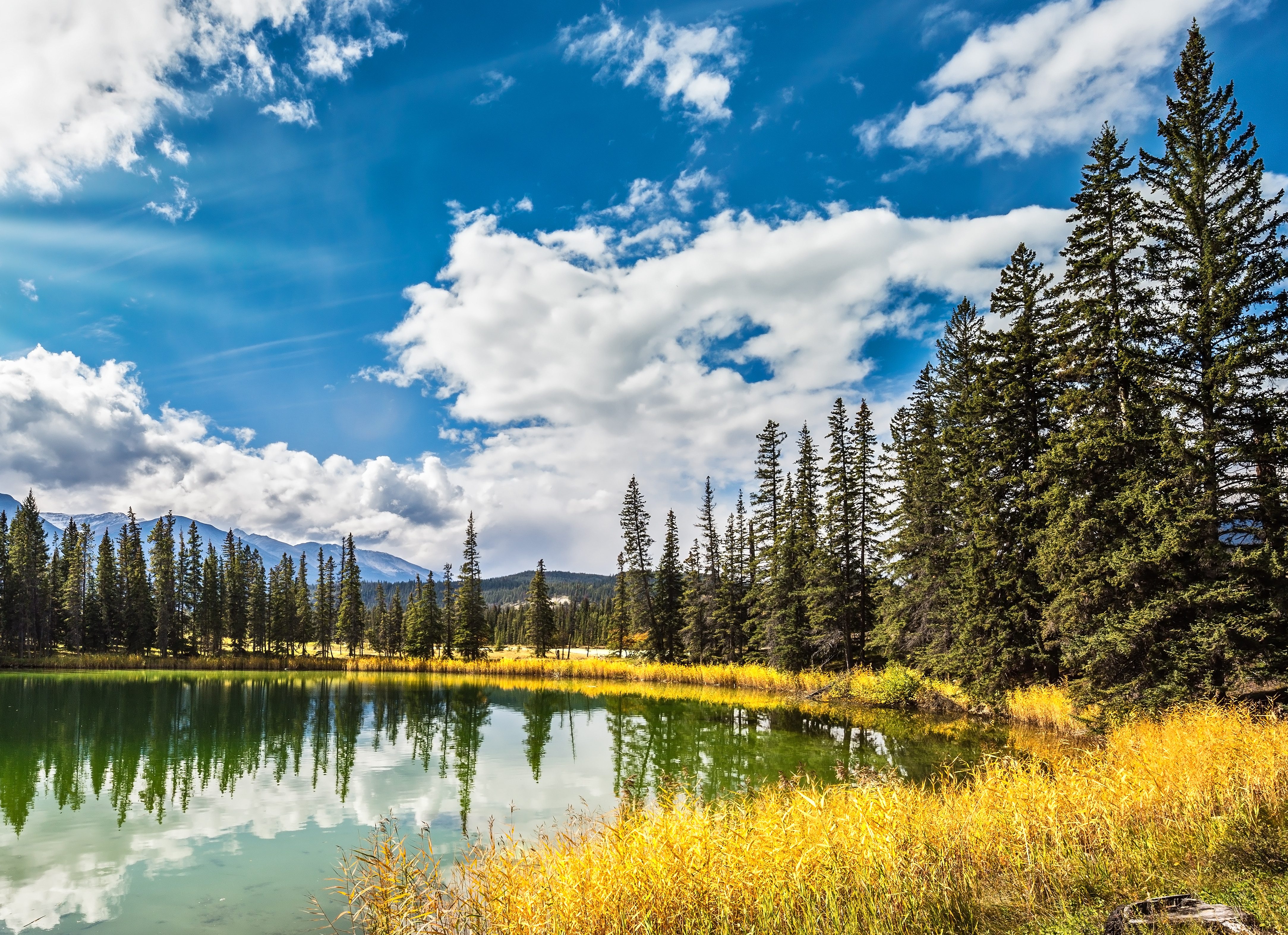 Zonnige herfstdag in Jasper National Park in Canada