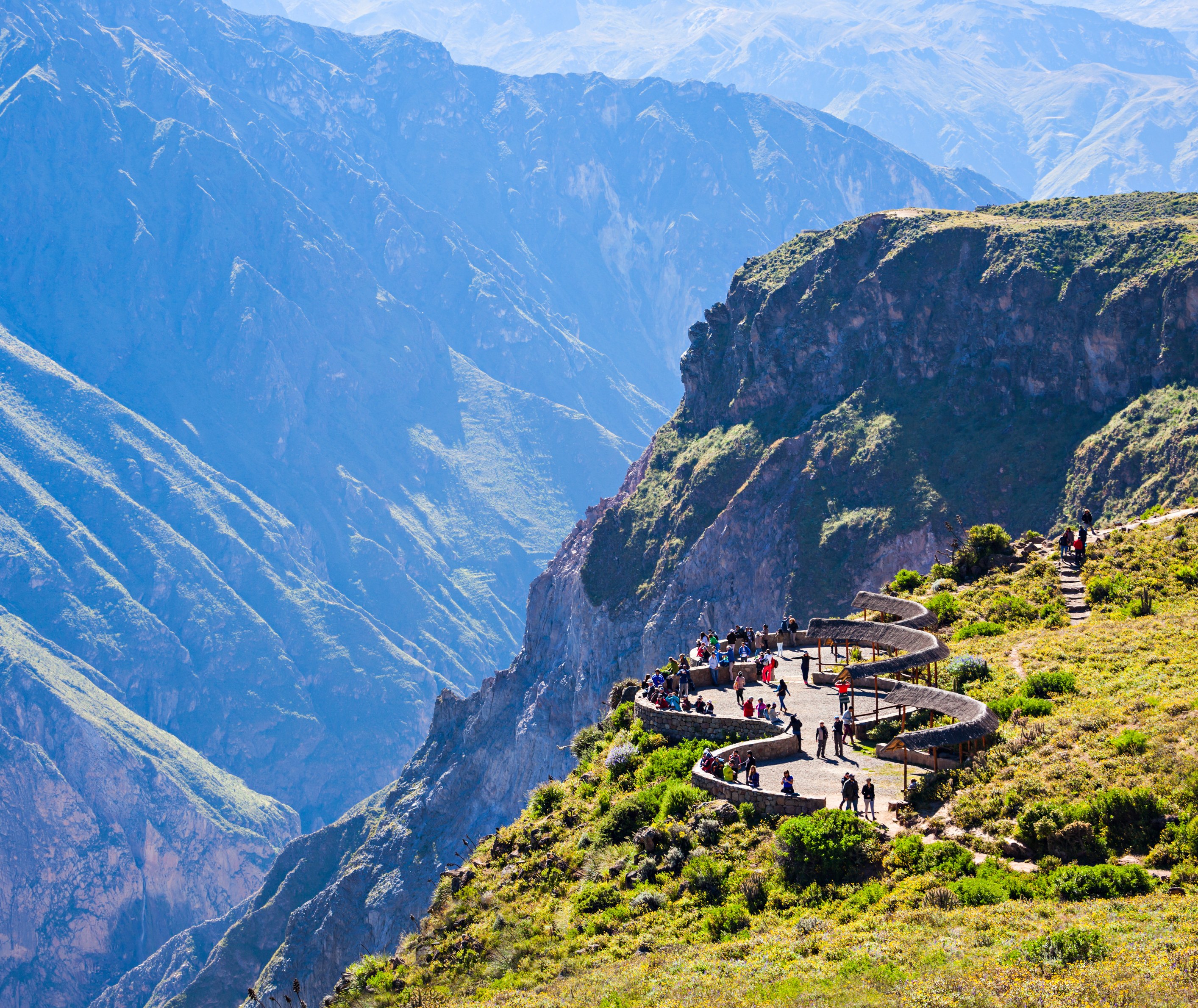 Condors spotten in de Colca Canyon, Peru
