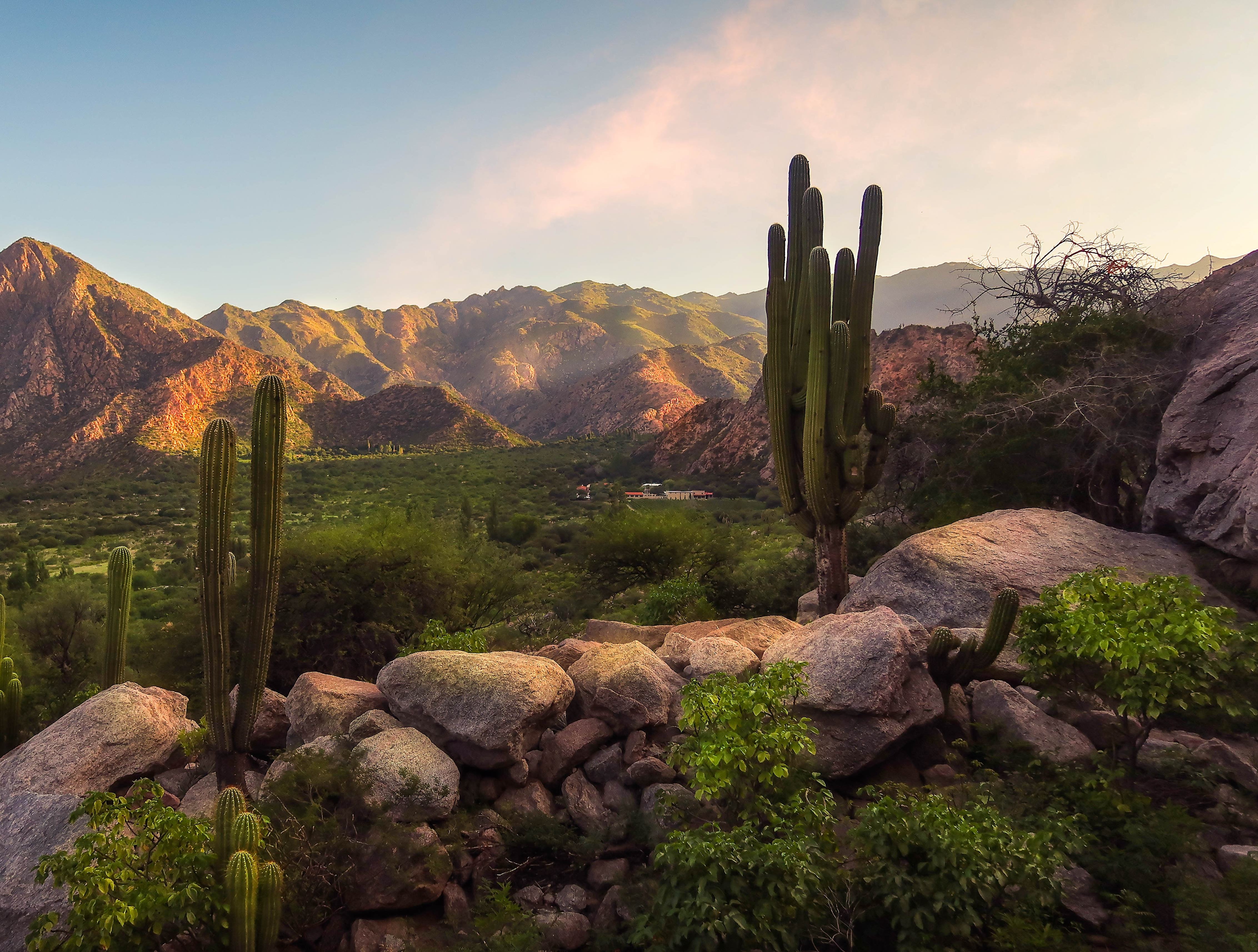 De omgeving van Cafayata, Argentinie