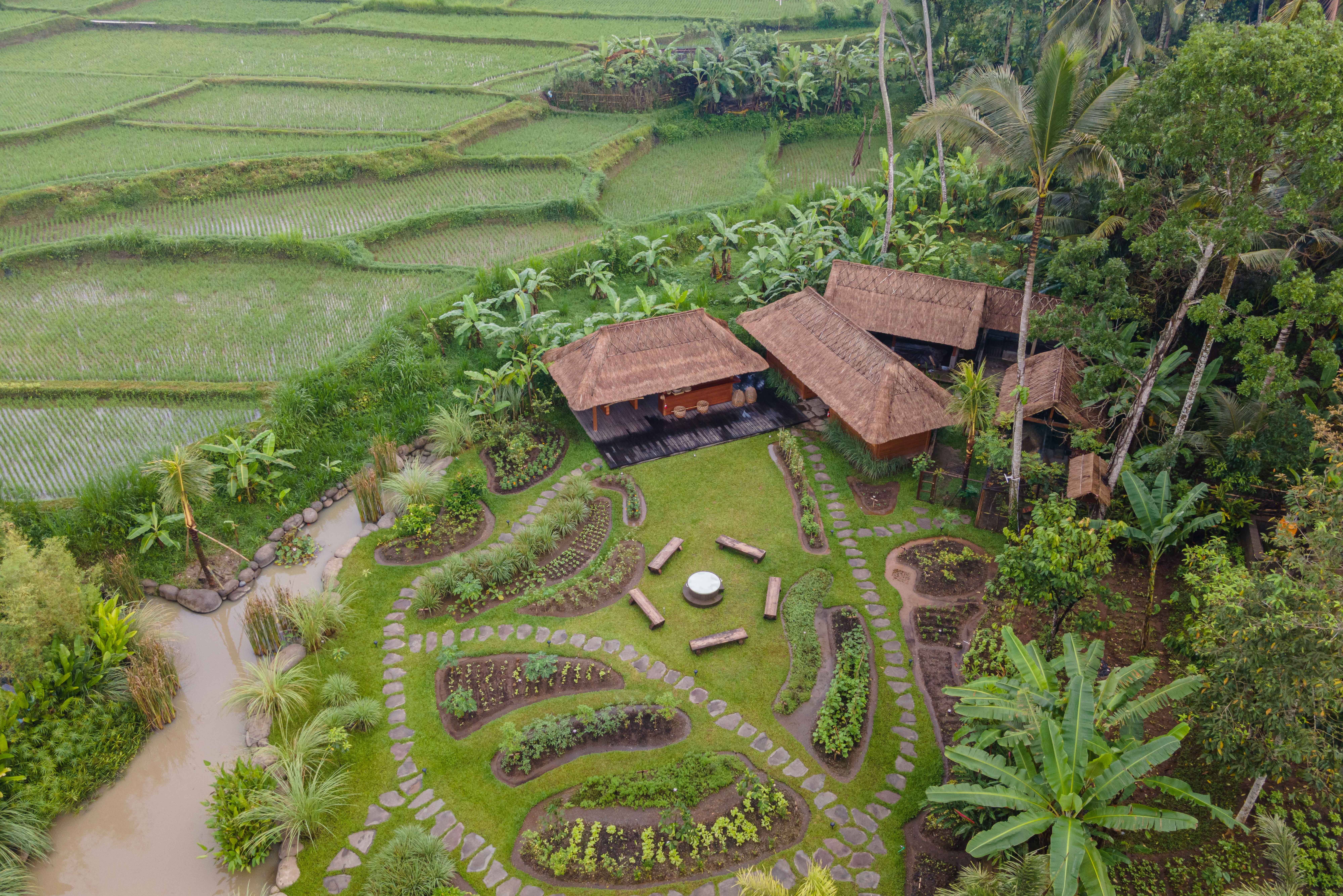 Permaculture garden in het Kappa Senses Ubud op Bali in Indonesie