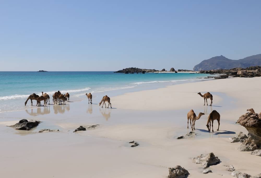 Grand Tour Oman