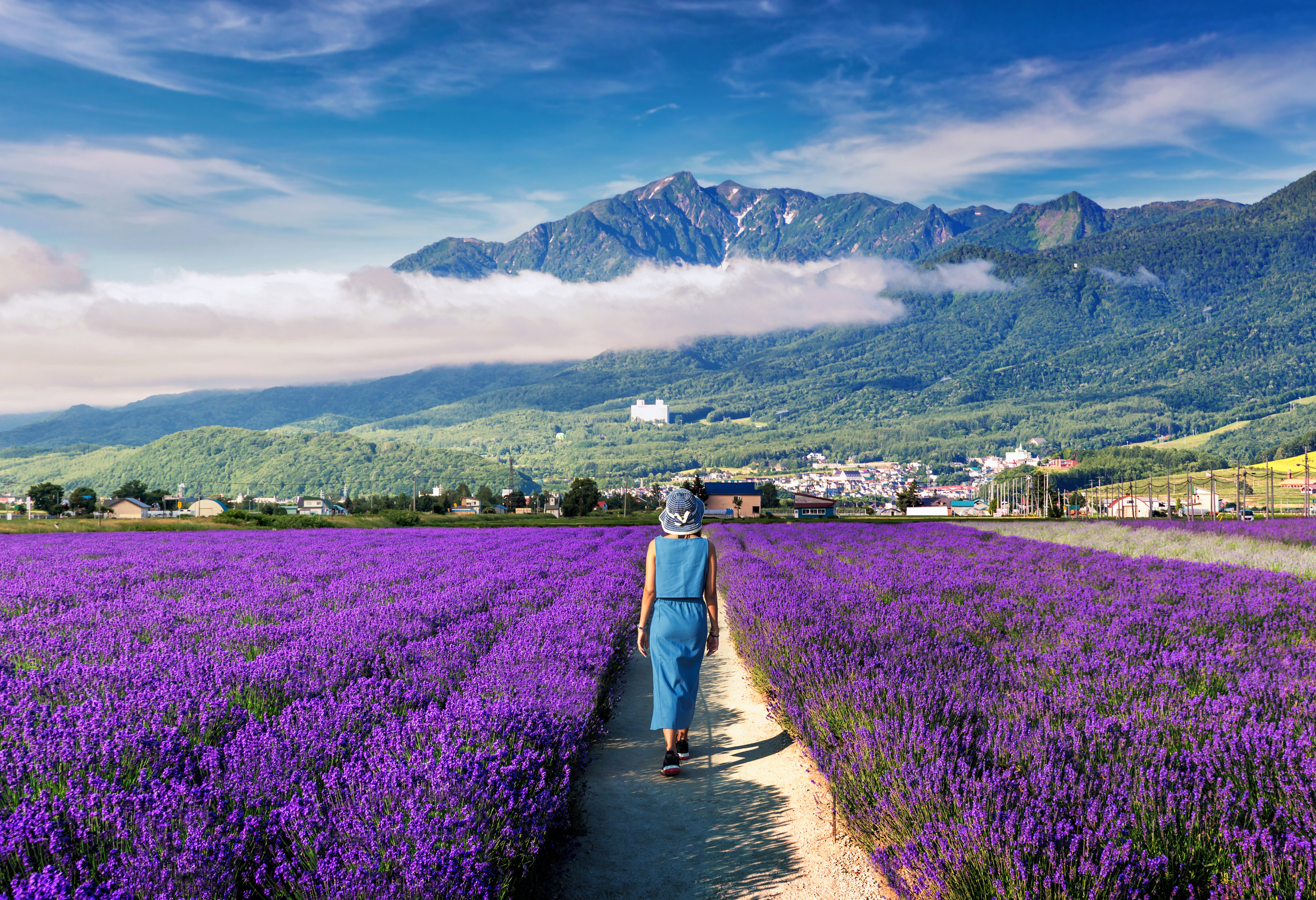 Japan Vrouw loopt door lavendel veld
