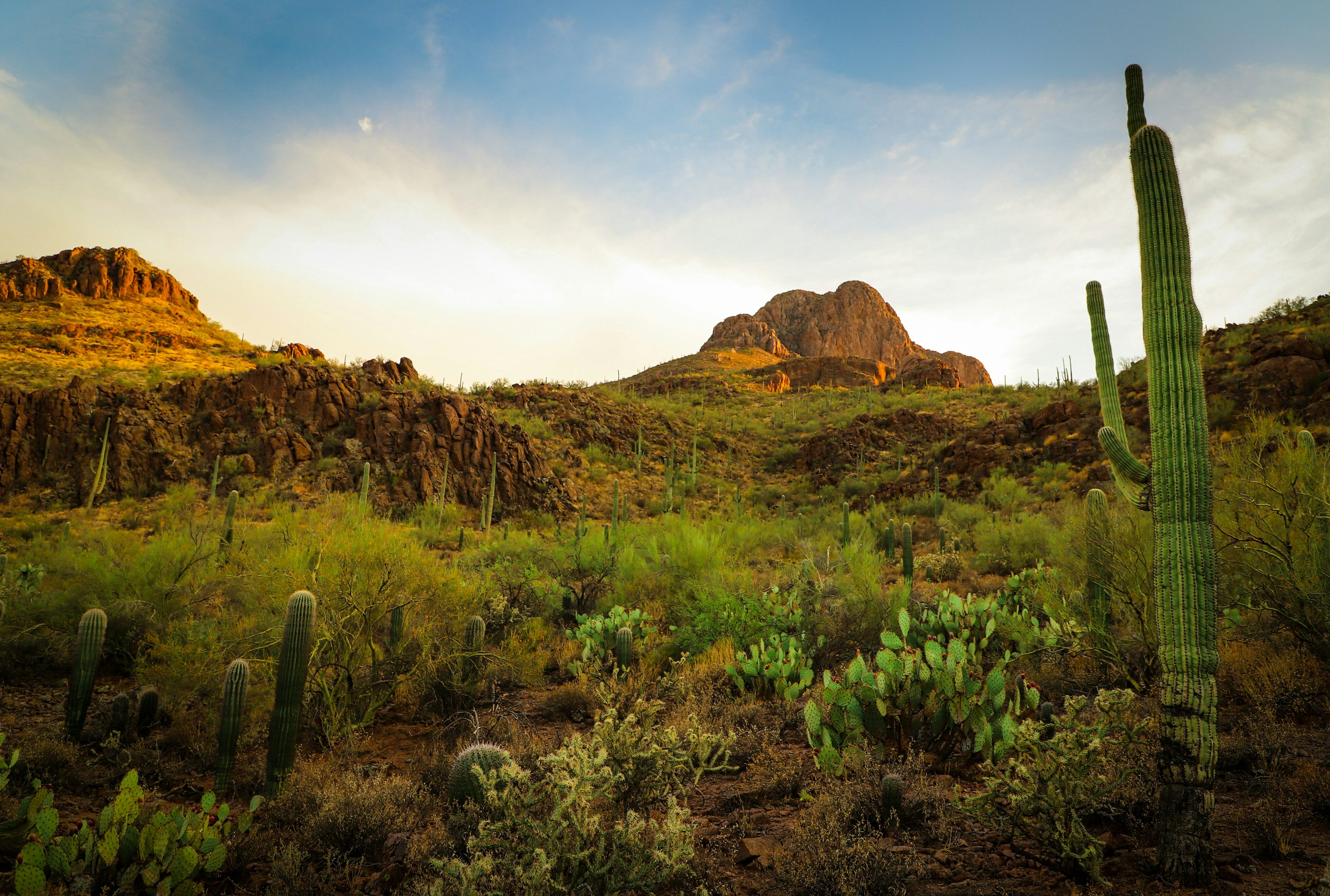 Tucson Arizona Amerika