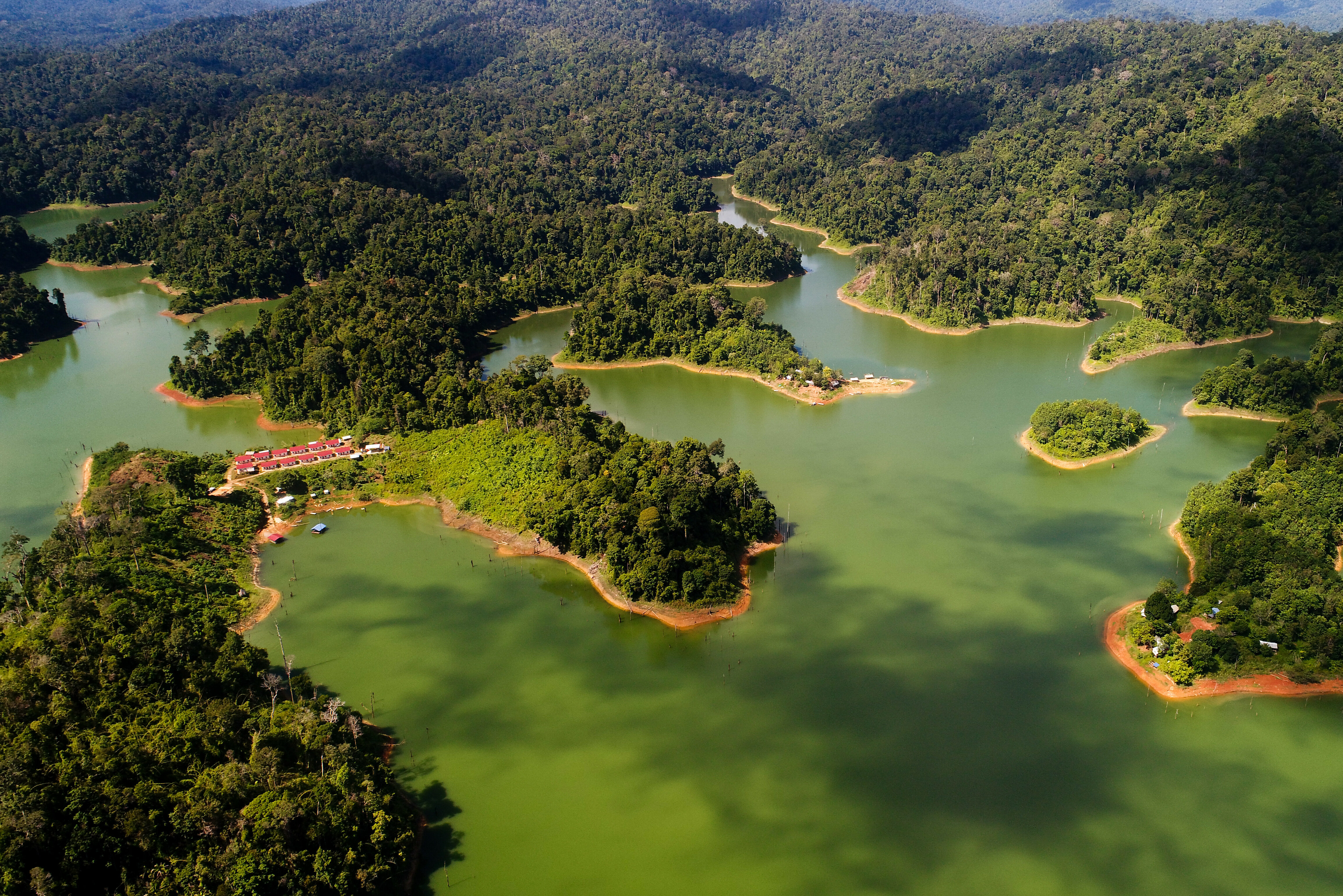 Belum Rainforest Resort