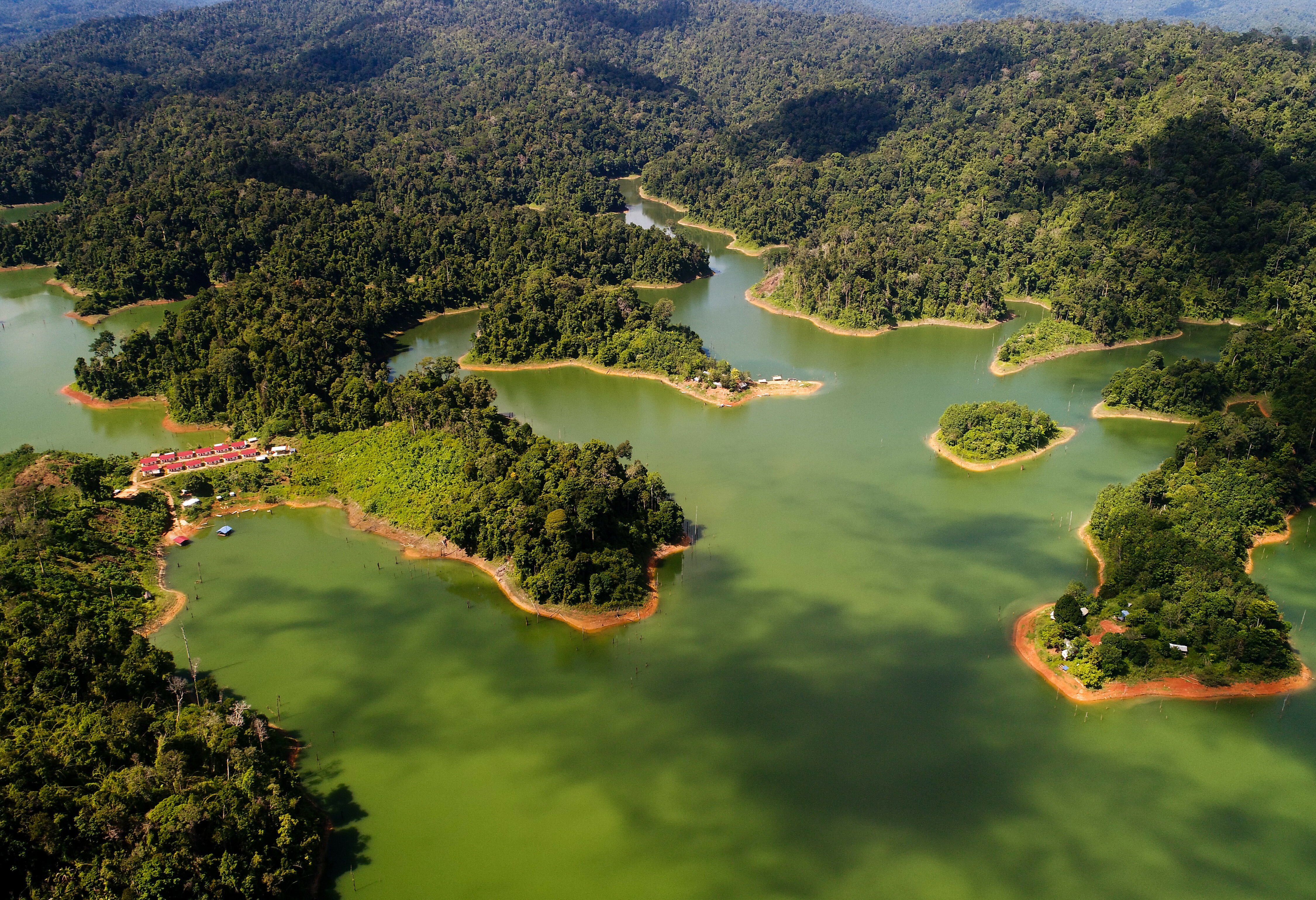 Belum Rainforest Resort