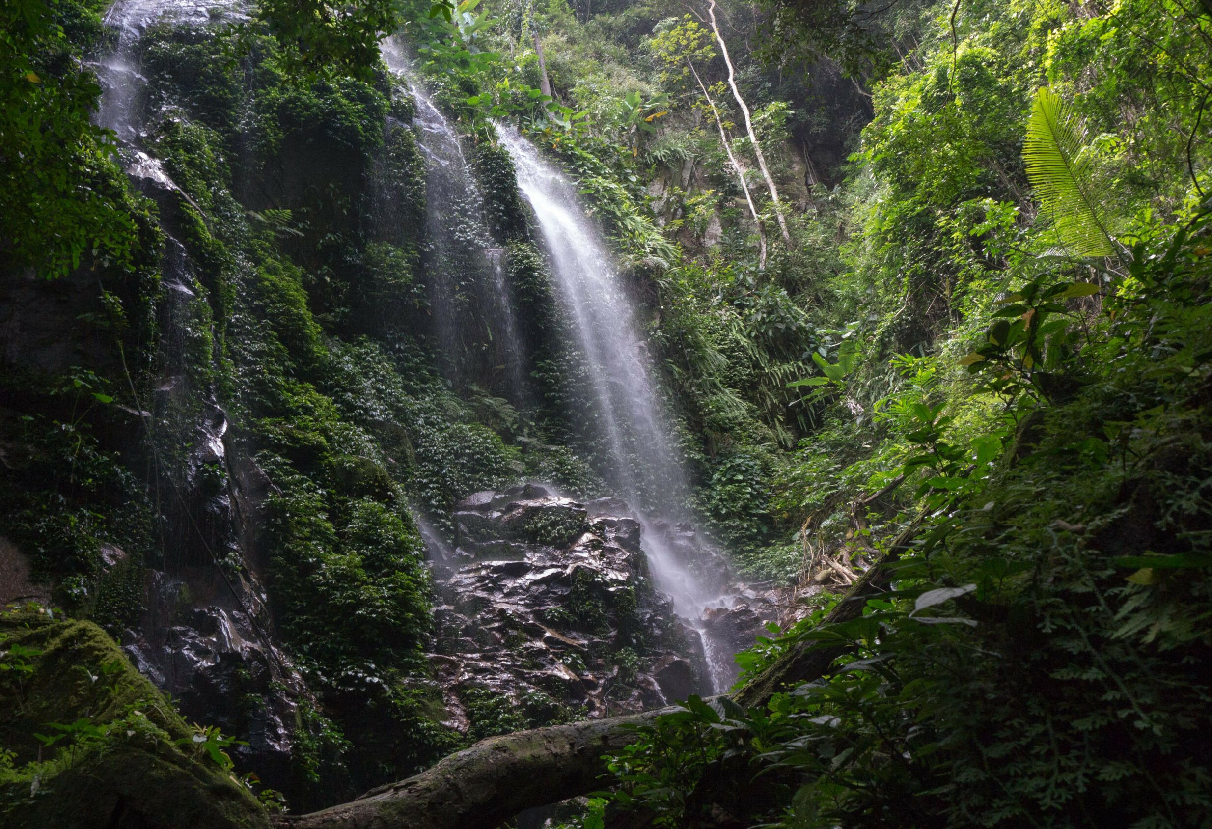 Waterval in Belum Rainforest