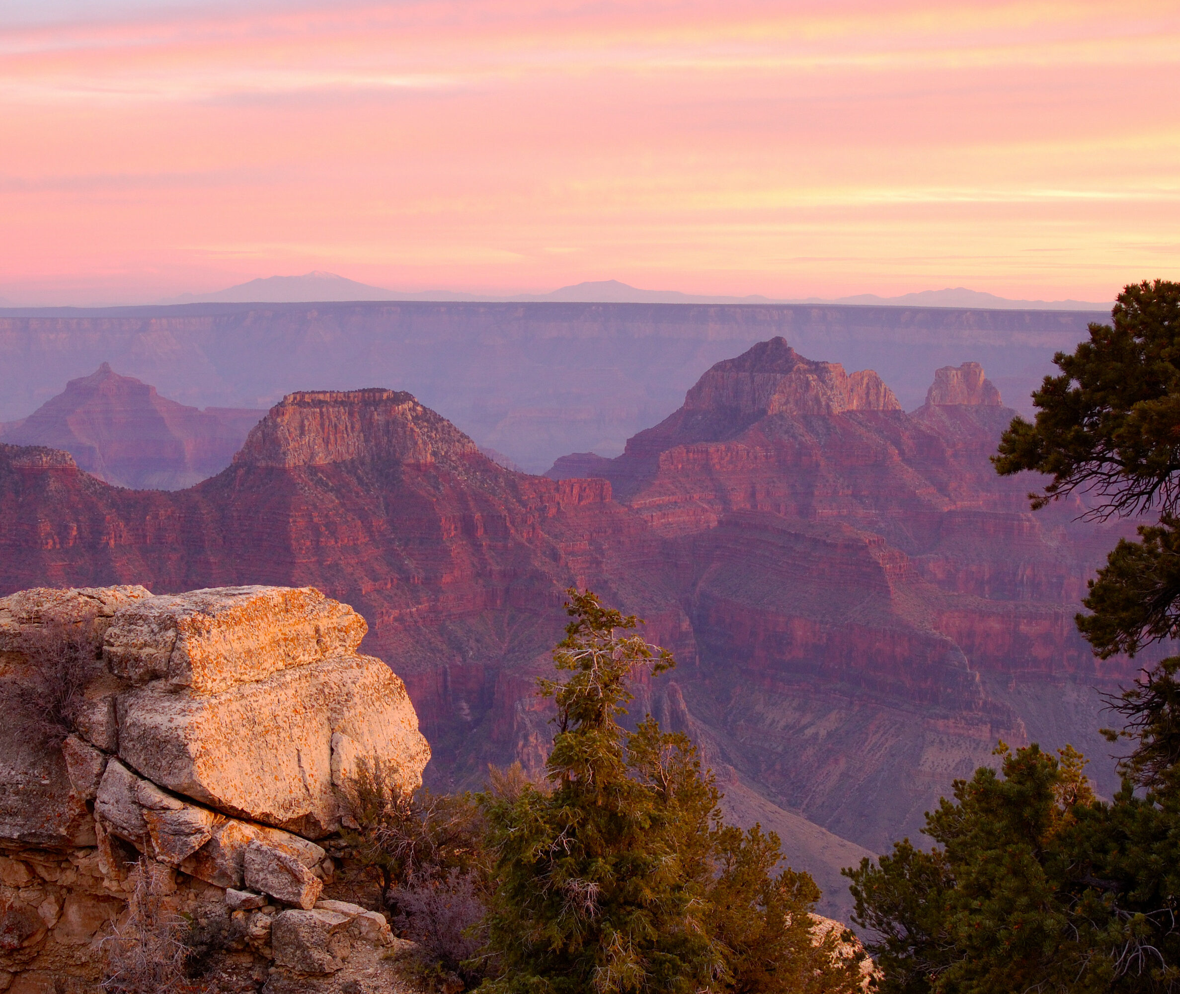 Grand Canyon Arizona Amerika