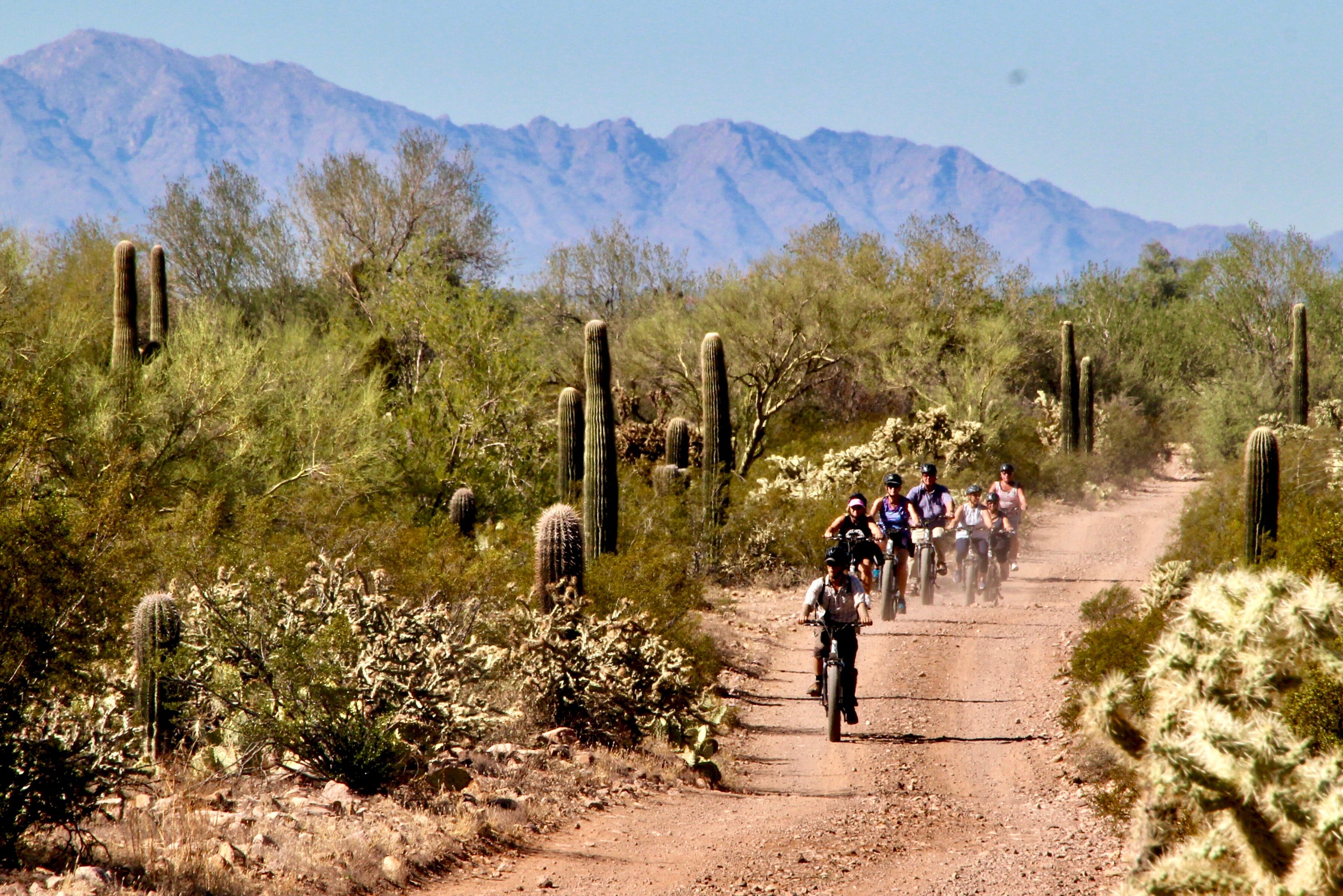 Amerika Arizona White Stallion Range Fatbike Activiteit