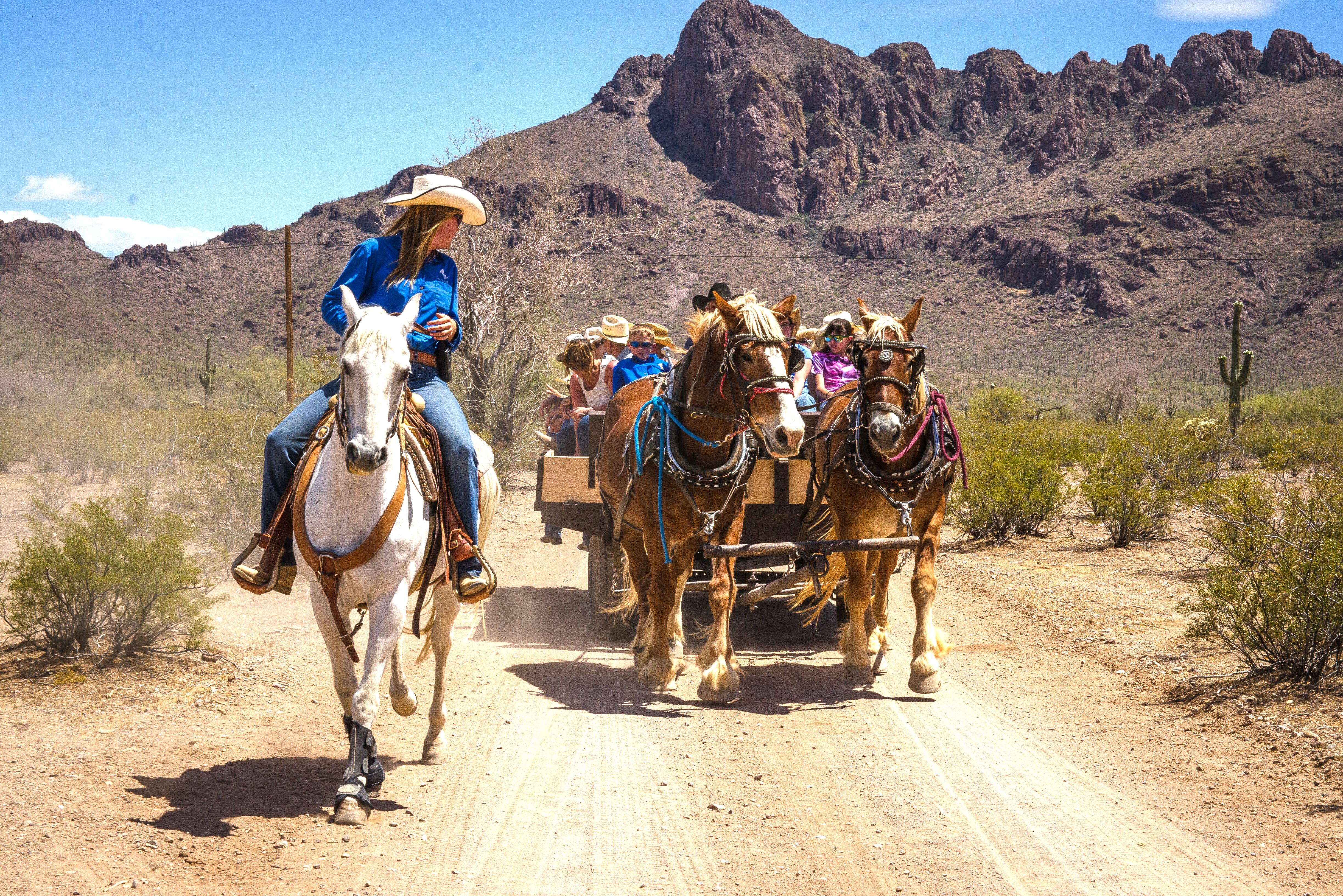 Amerika Arizona White Stallion Range Huifkar