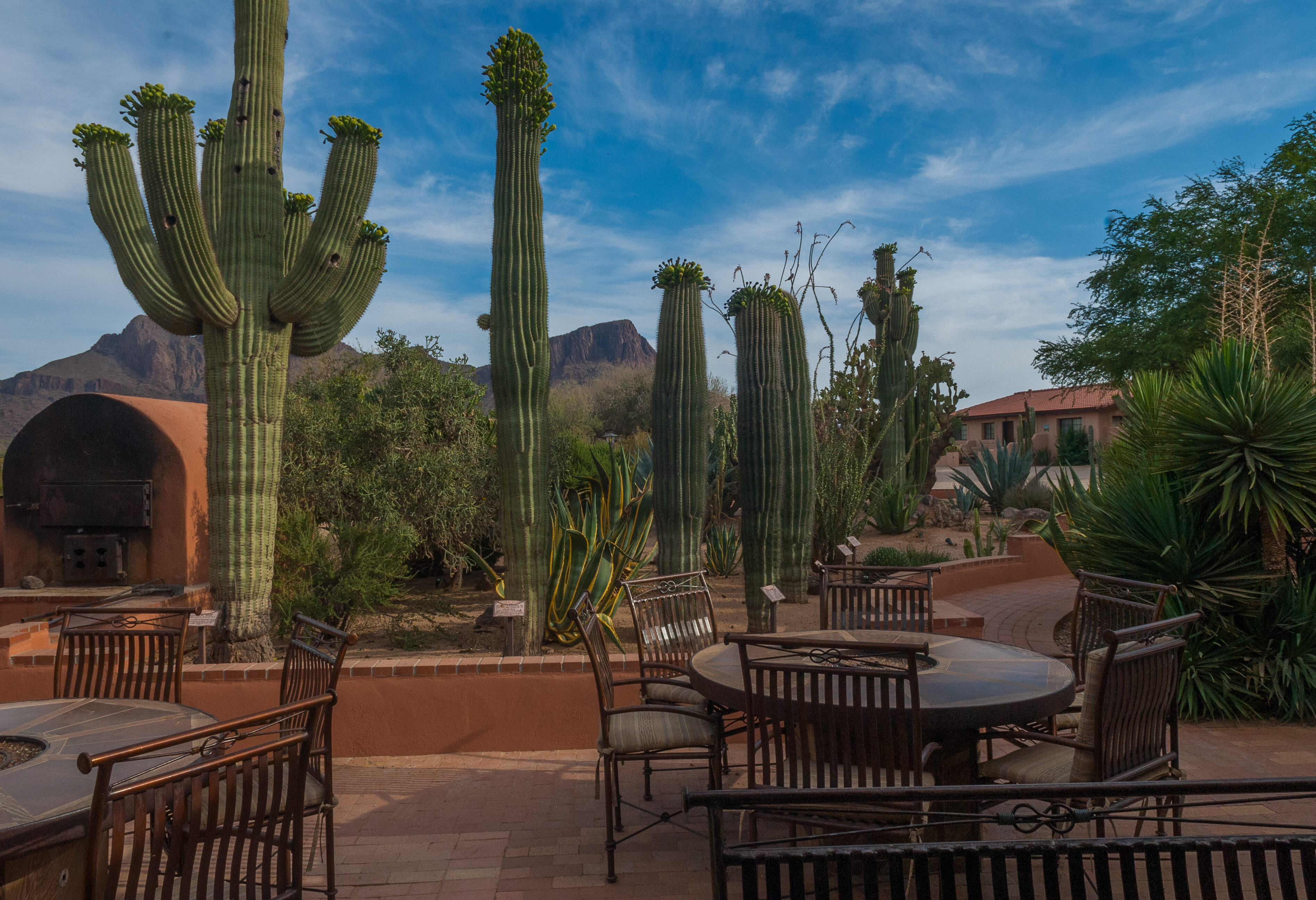 Amerika Arizona White Stallion Range Terras