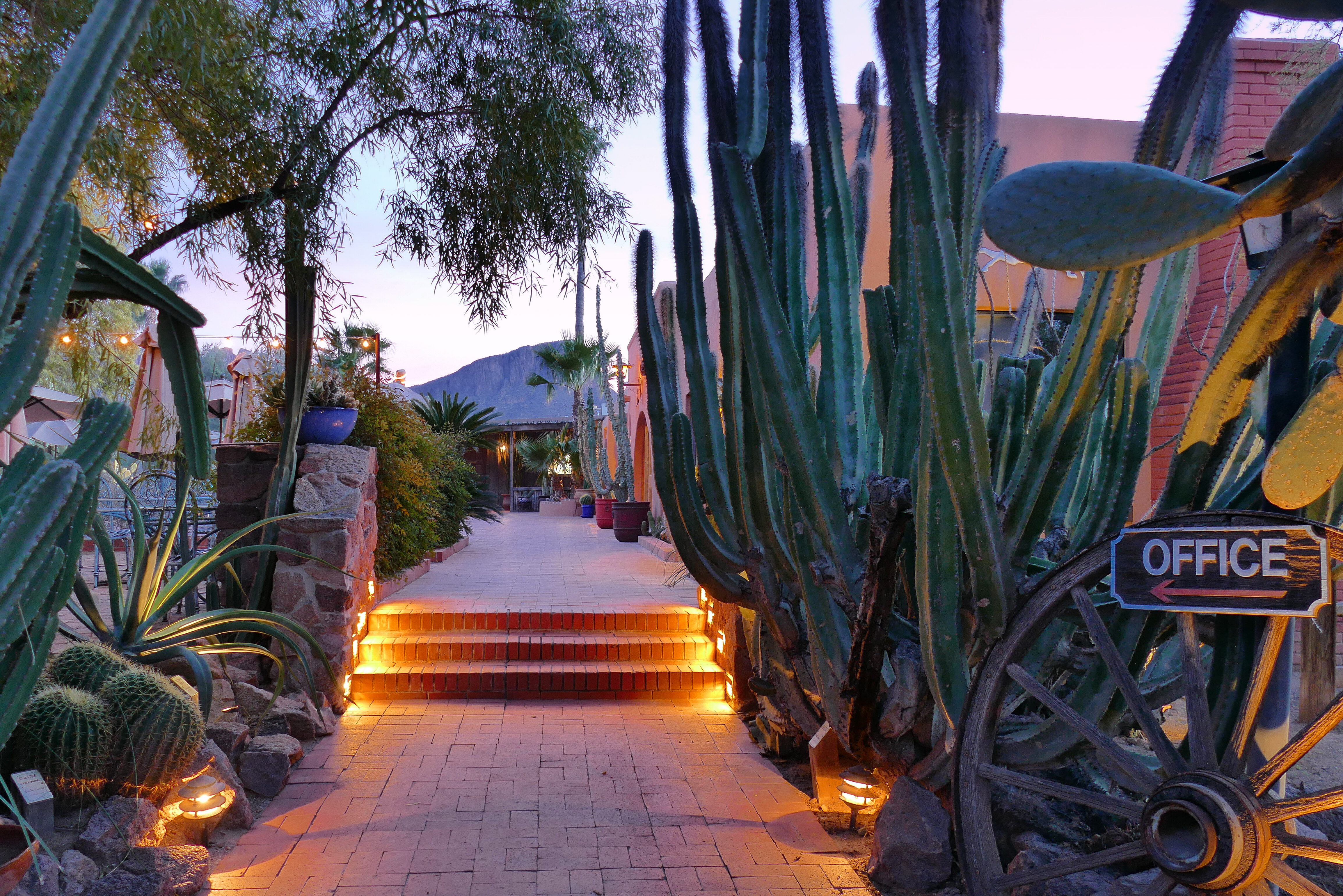 Amerika Arizona White Stallion Range Entree