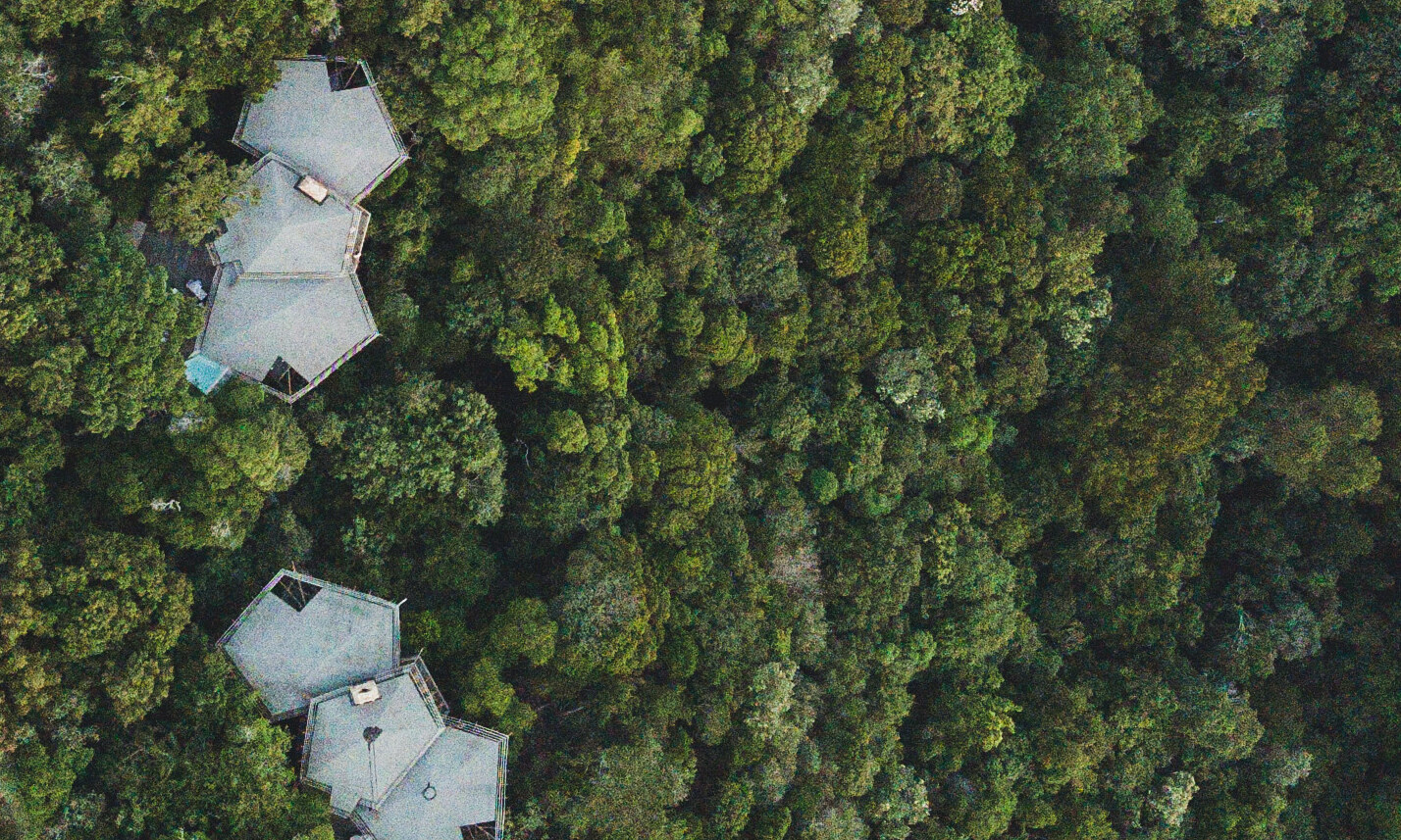 Tsala Treetop Lodge