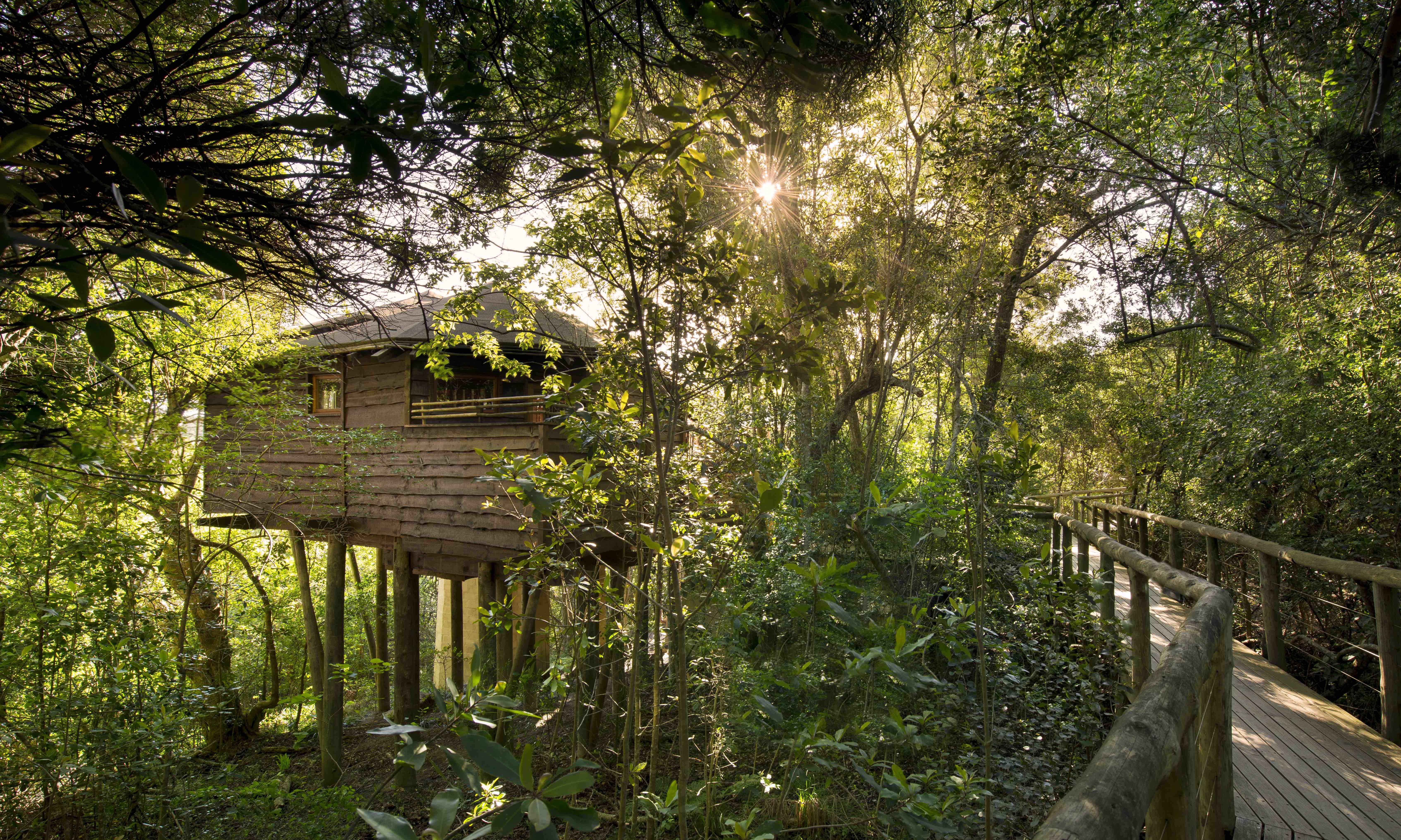 Tsala Treetop Lodge