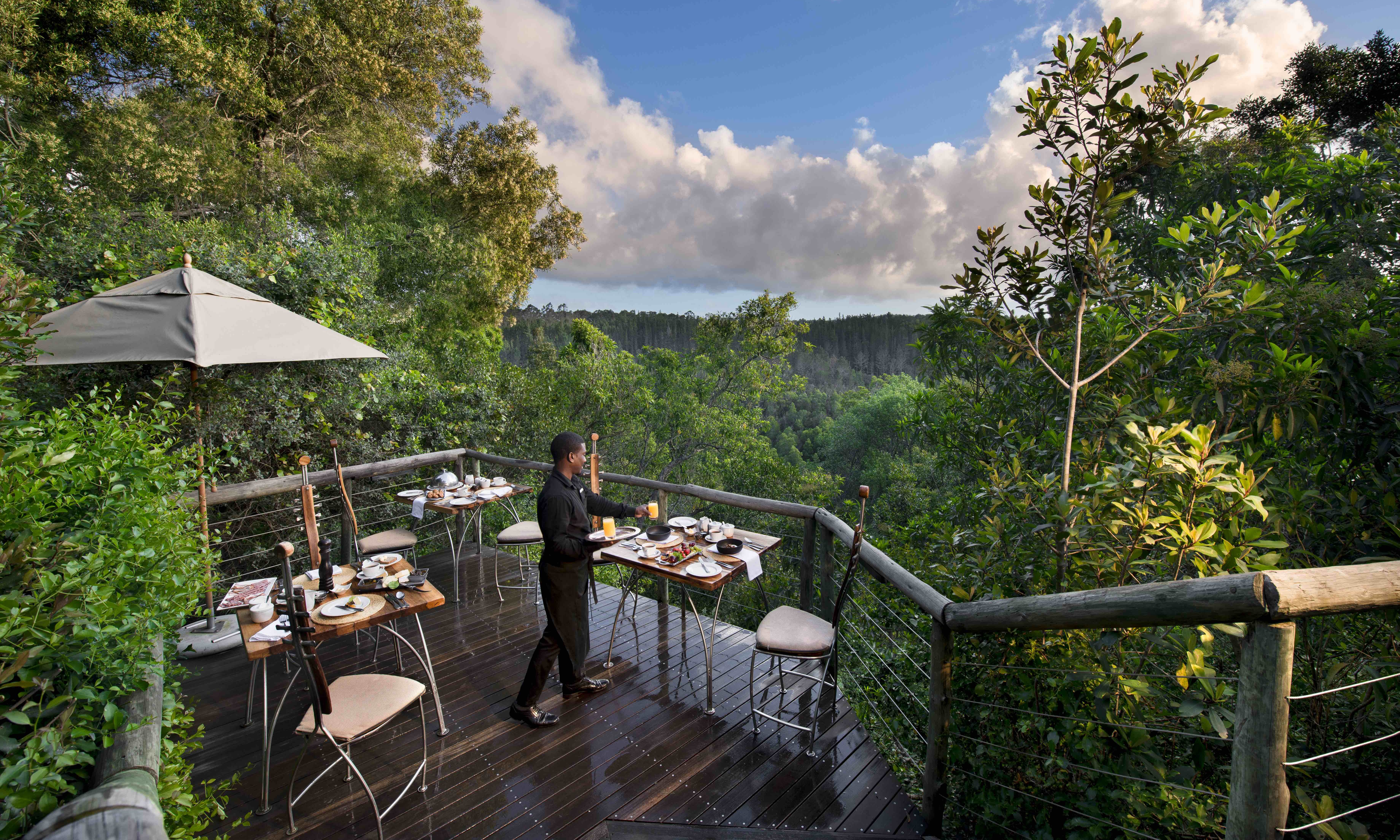 Tsala Treetop Lodge PLettenberg Bay Zuid-Afrika