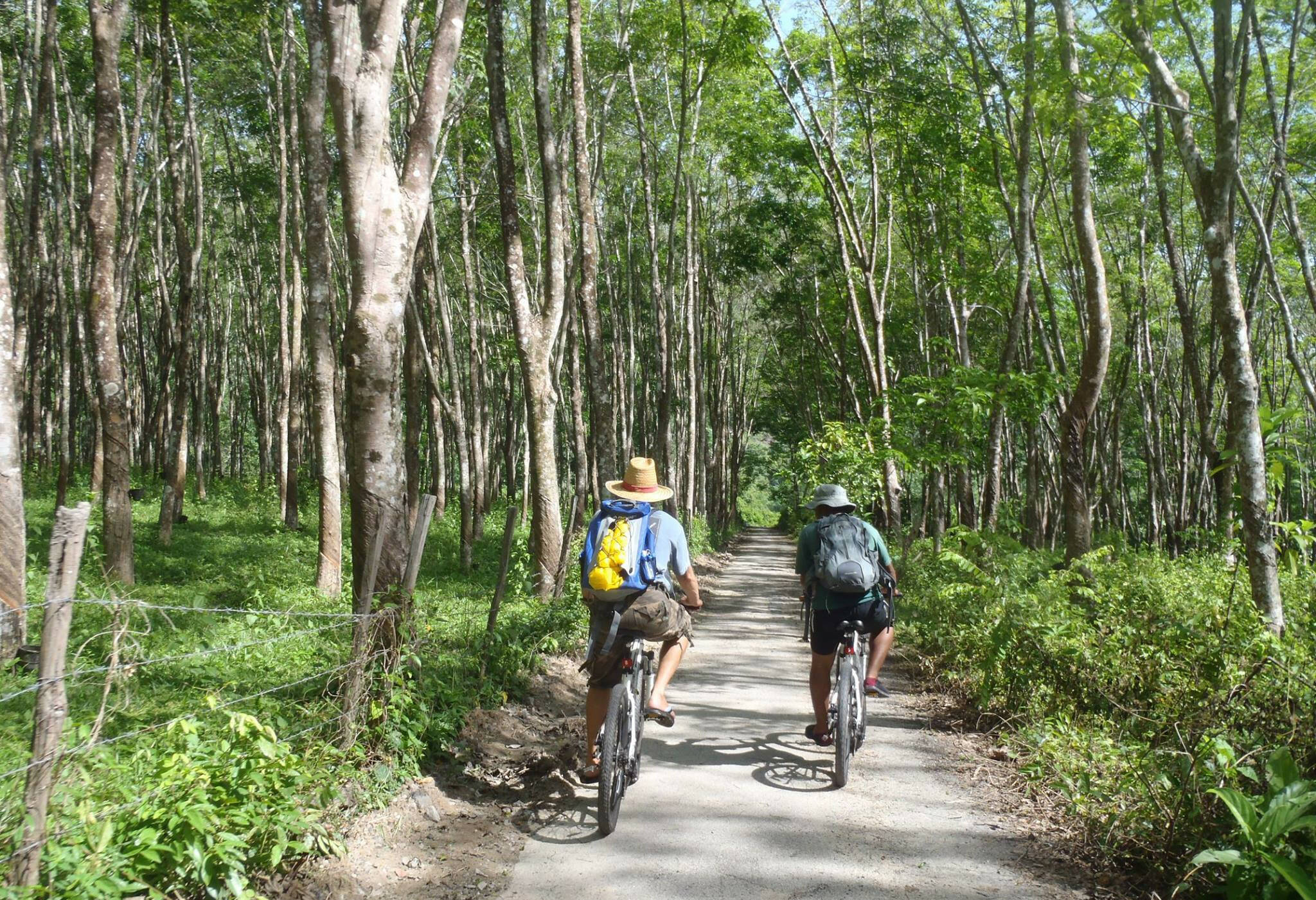 Fietsen op Langkawi