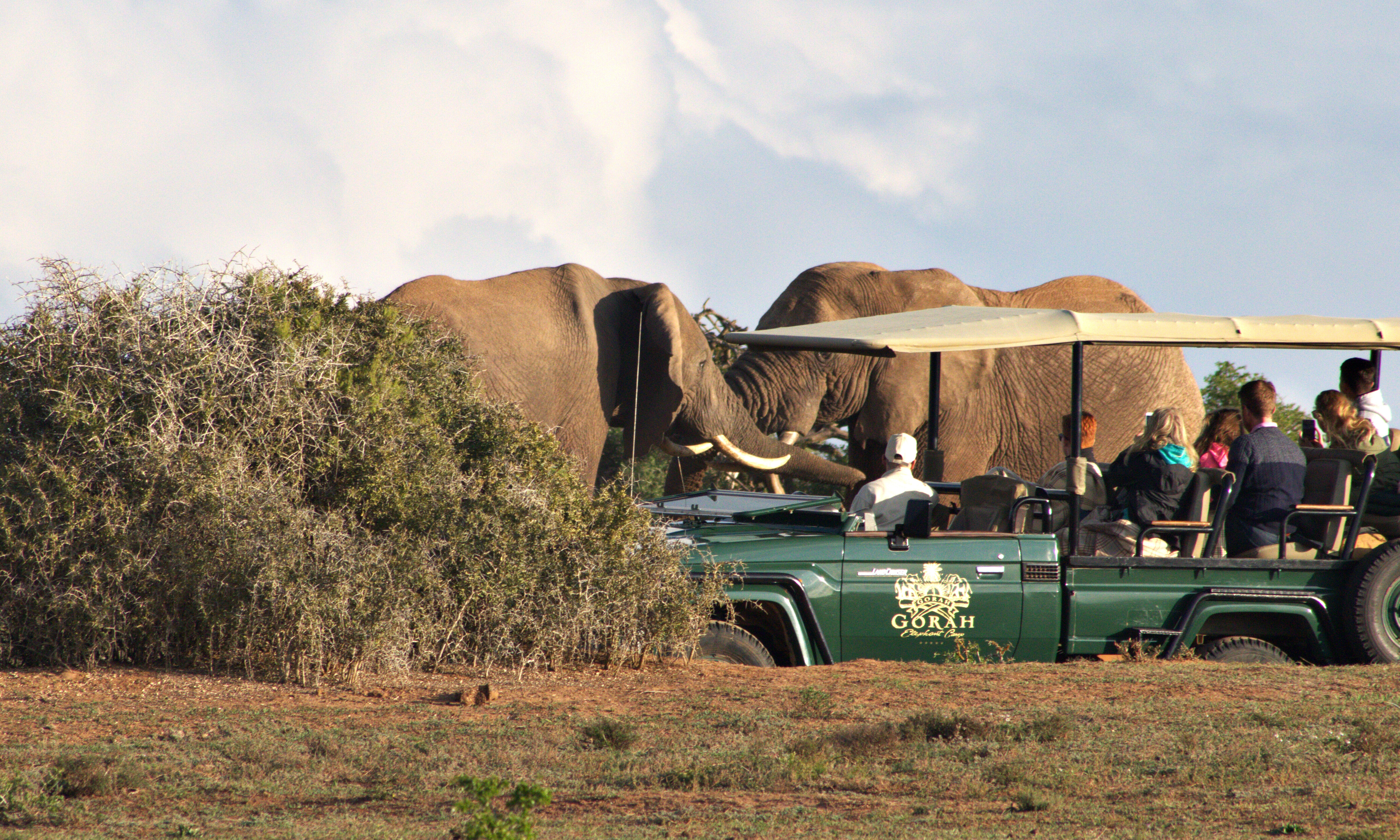 Gorah Elephant Camp