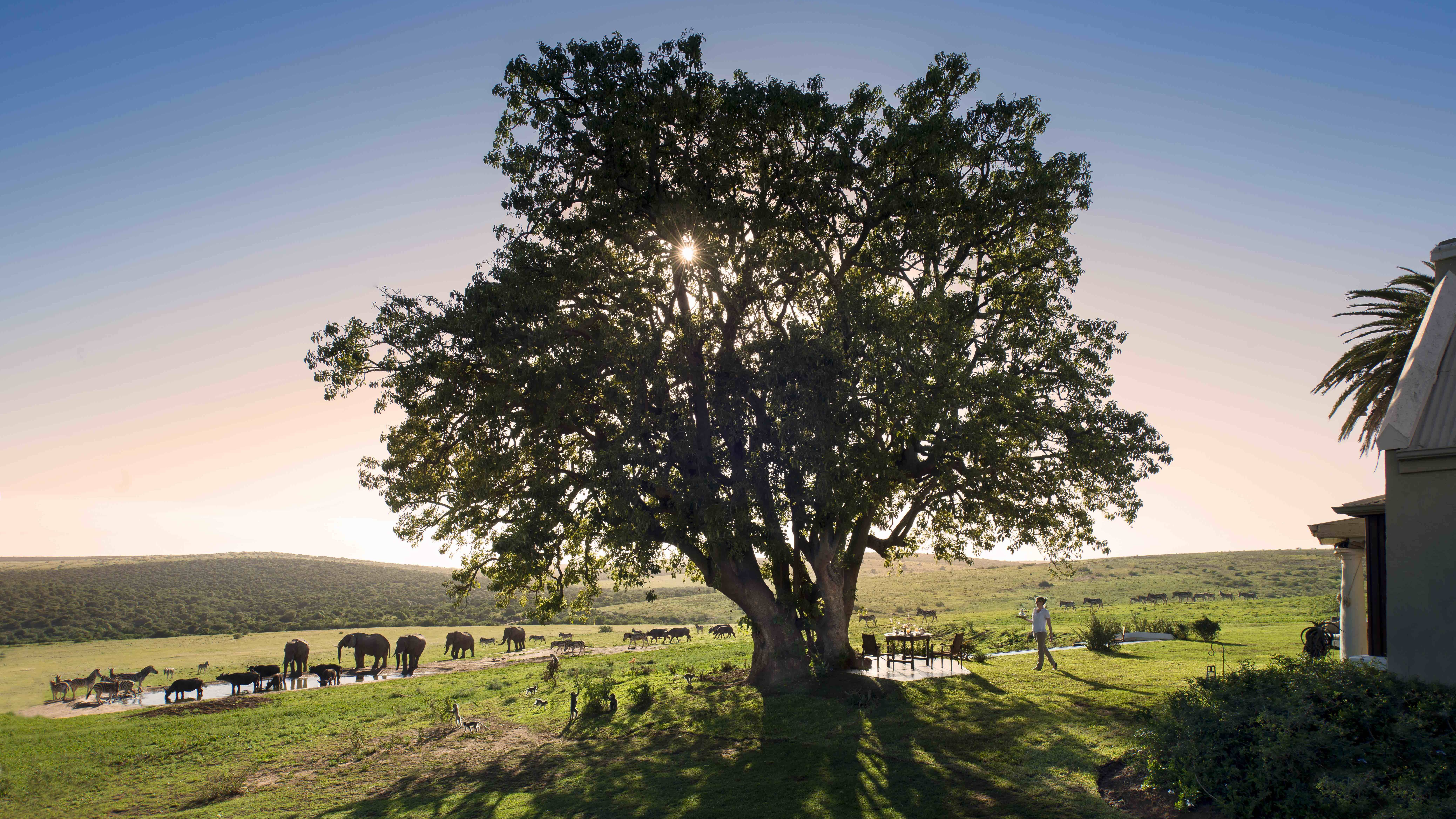 Gorah Elephant Lodge Addo NP Zuid Afrika