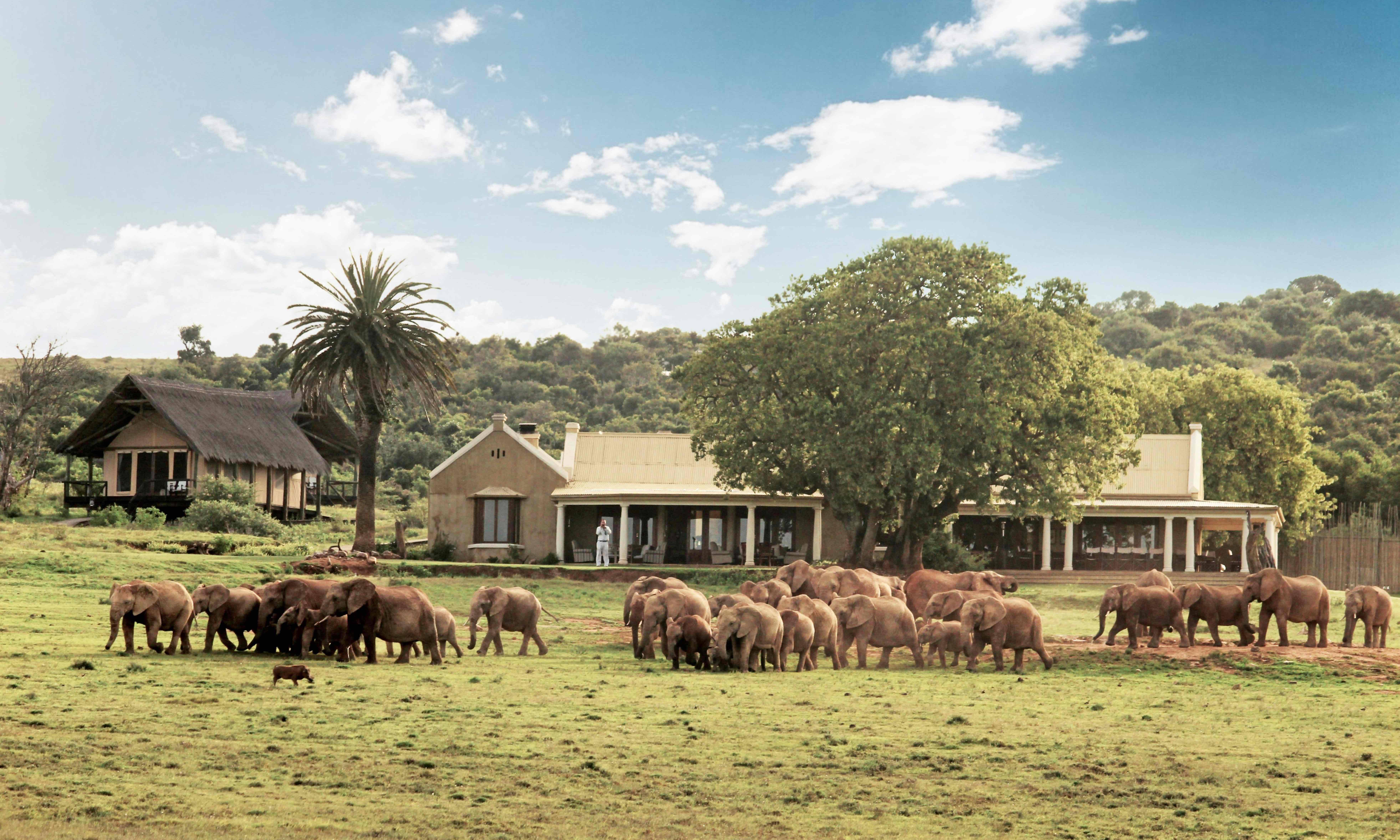 Gorah Elephant Lodge Addo NP Zuid Afrika