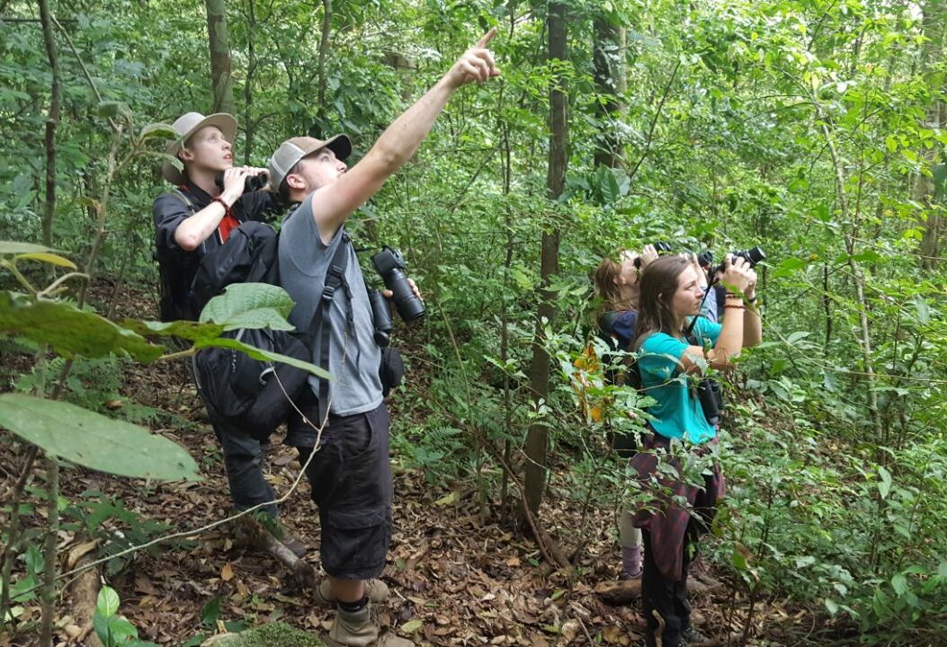Op zoek naar vogels in het Selva Negra natuurreservaat Nicaragua