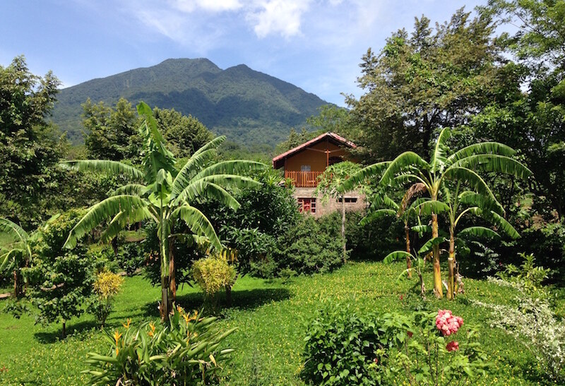 Plantage op Ometepe Island Nicaragua