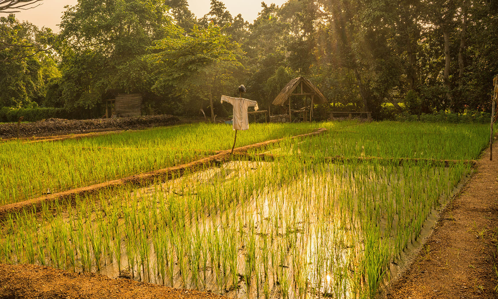 Sri-Lanka-Tangelle-Anantara-Peace-Haven-Resort-Tuin