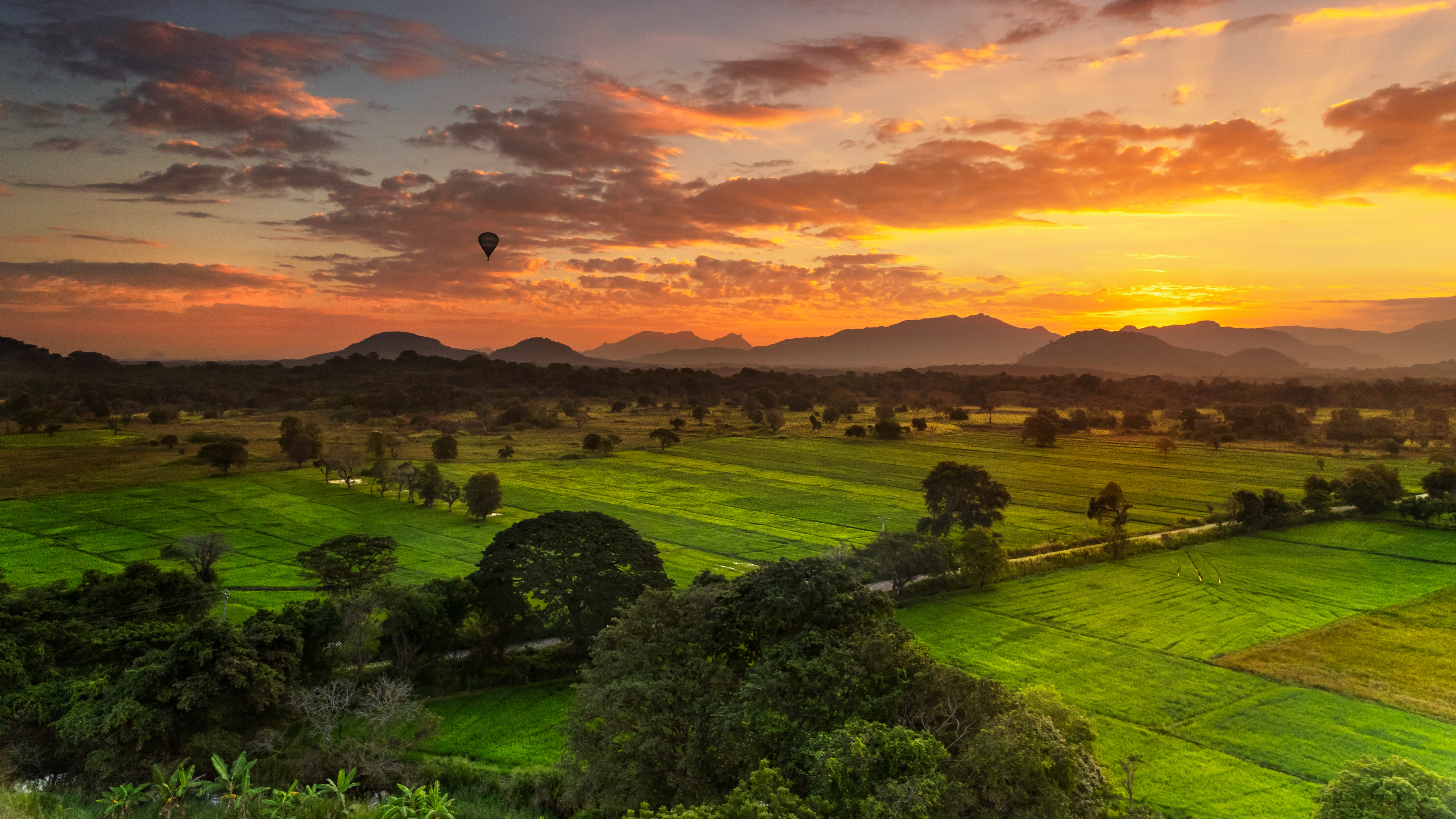 ballon-vaart-sri-lanka-