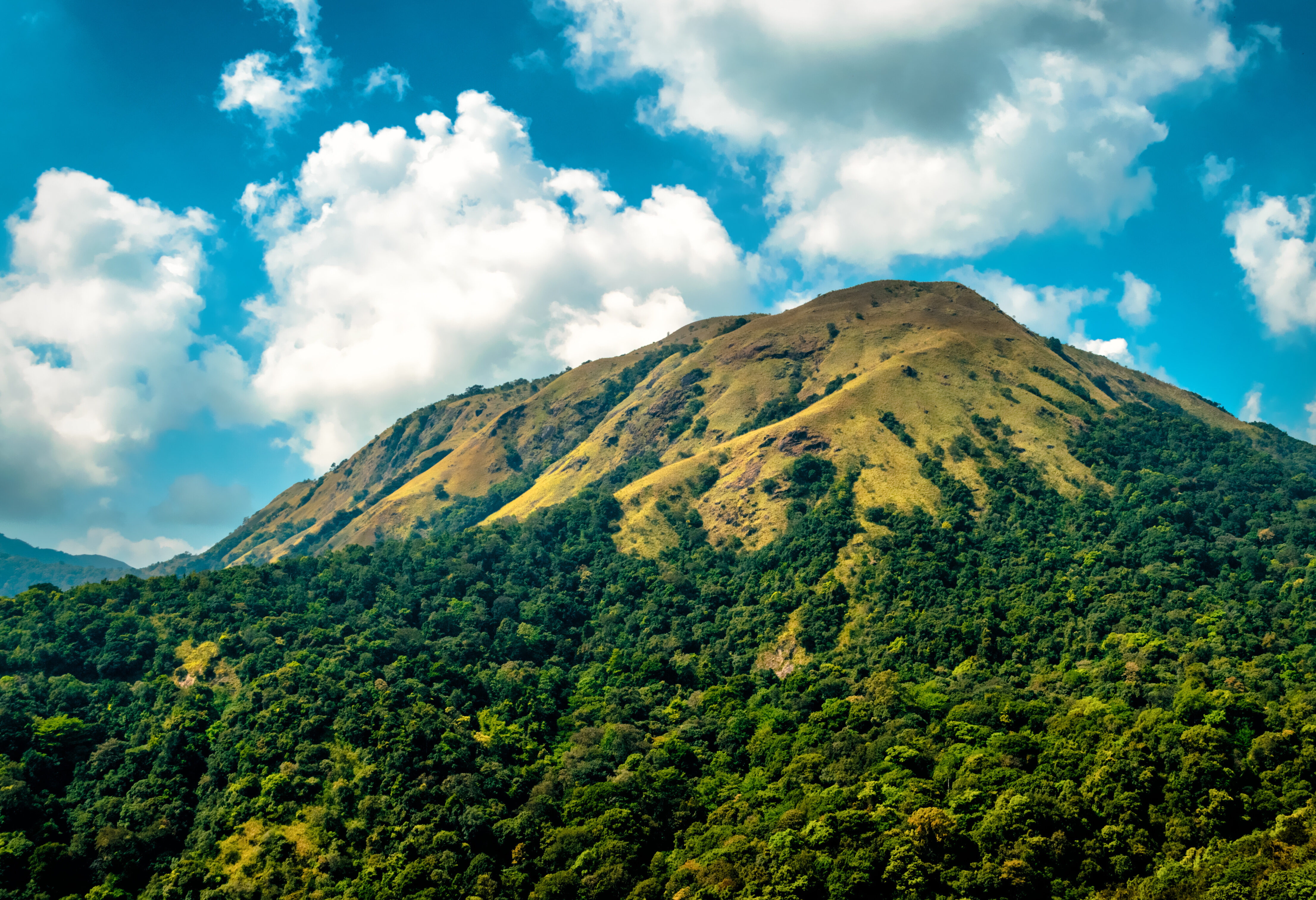 Koffieheuvels van Chikmagalur